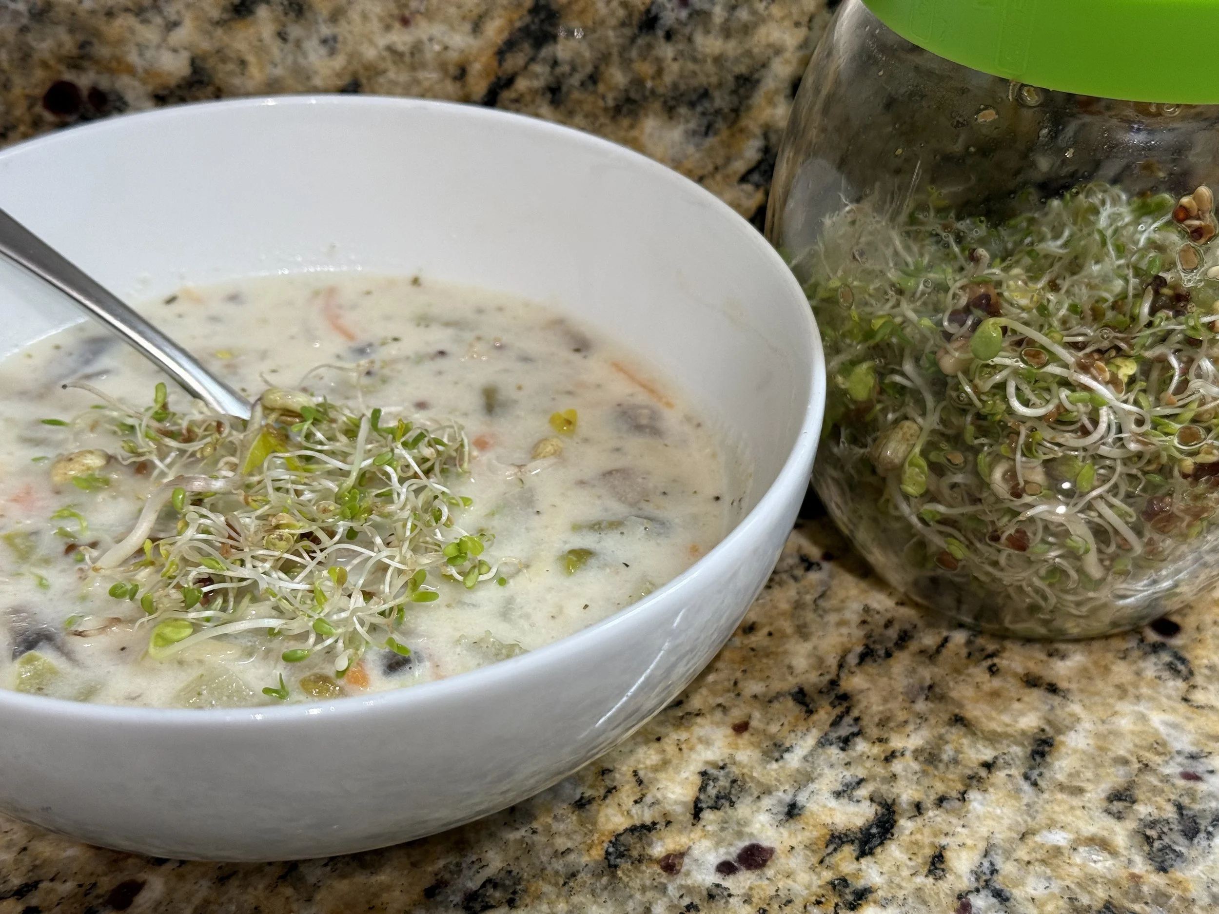 Homemade sprouts