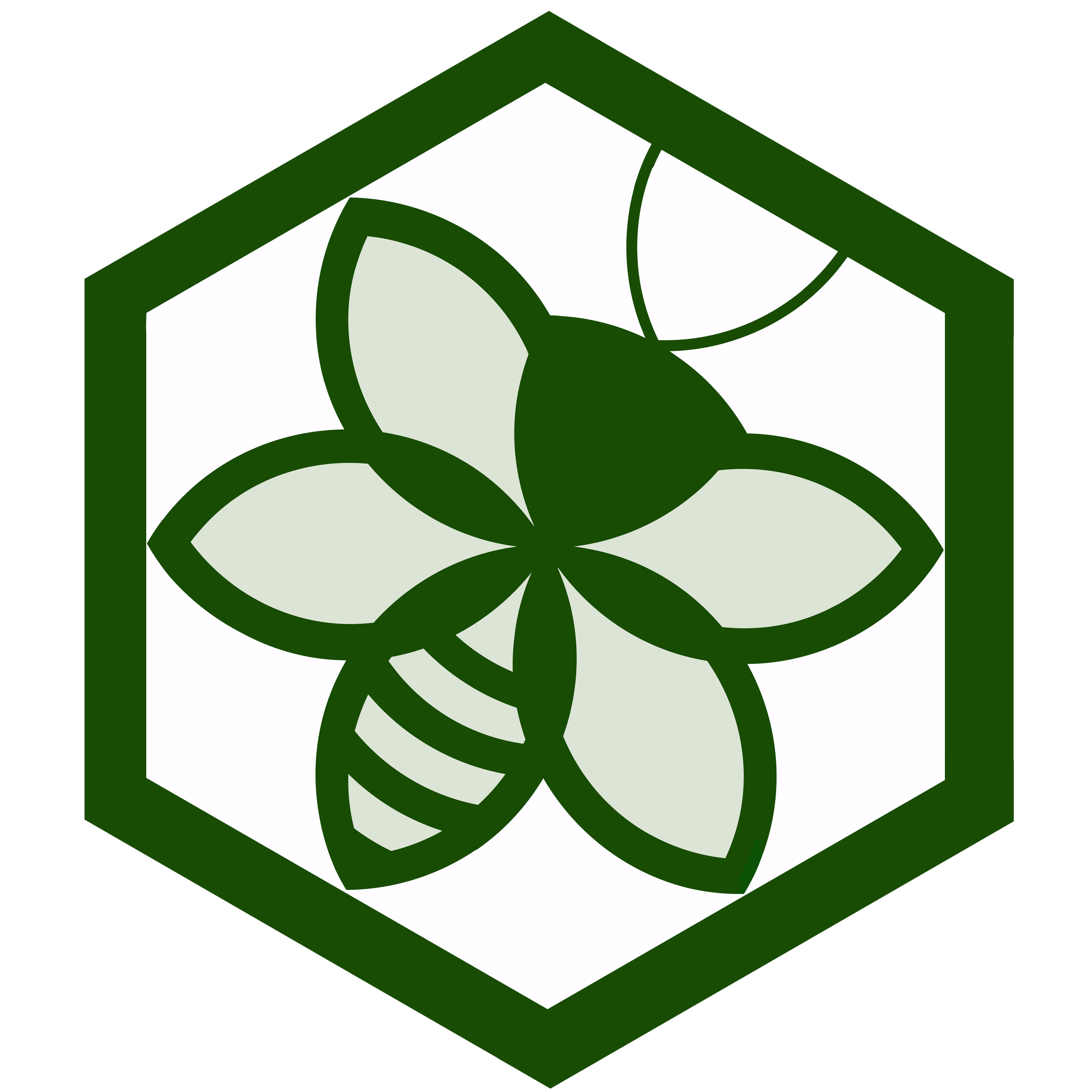 Sage Bee Synergy Logo: a vector bee in the center of a hexagon