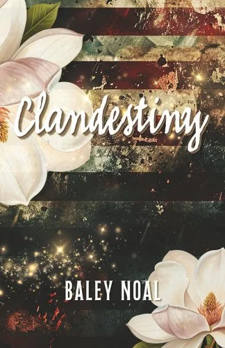 Book cover: Clandestiny: Two broken paths. A chance meeting when they needed it the most. A love guided by destiny. by Noal, Baley