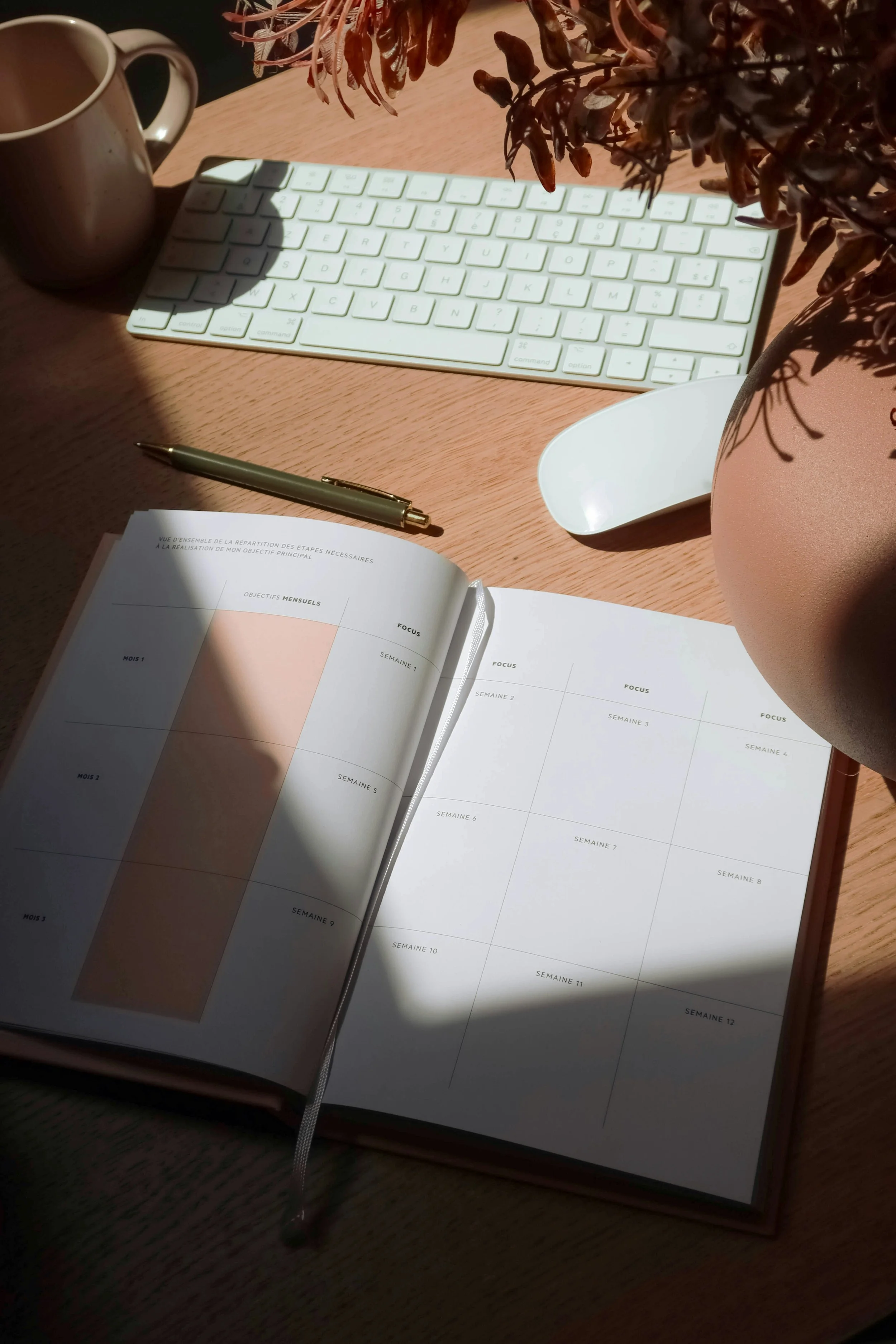 Executive Function Basics