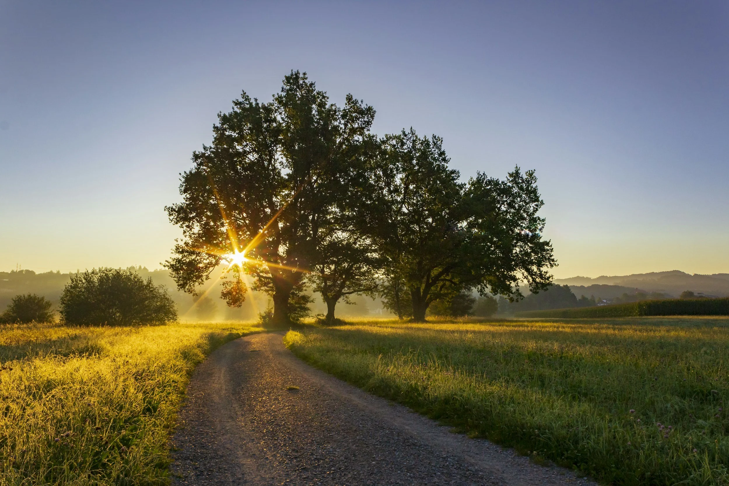 path forward