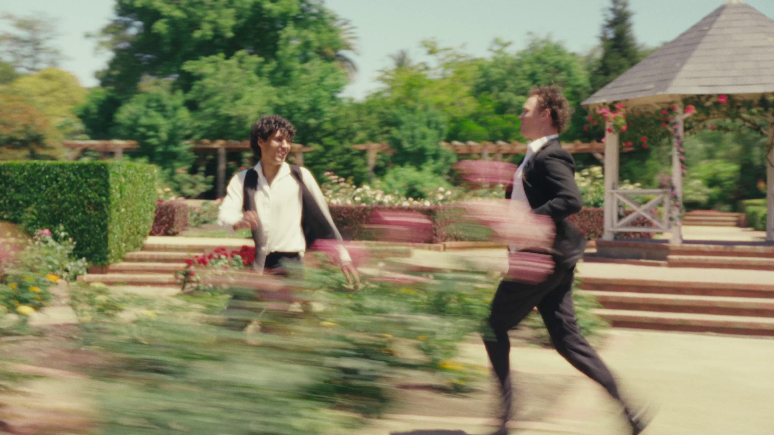 A Dream in the Rose Garden