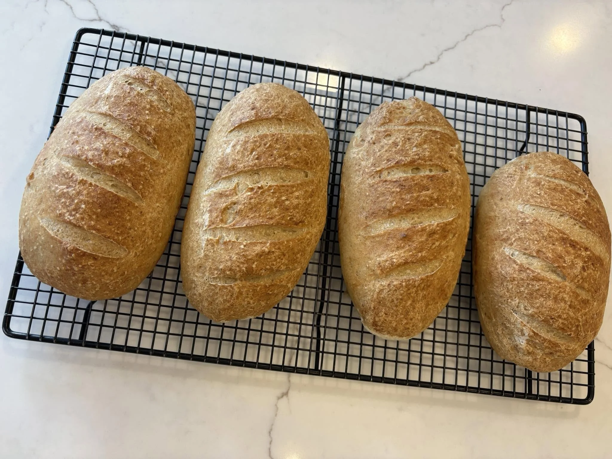 Three loaves of rustic white bread on a cooling rack