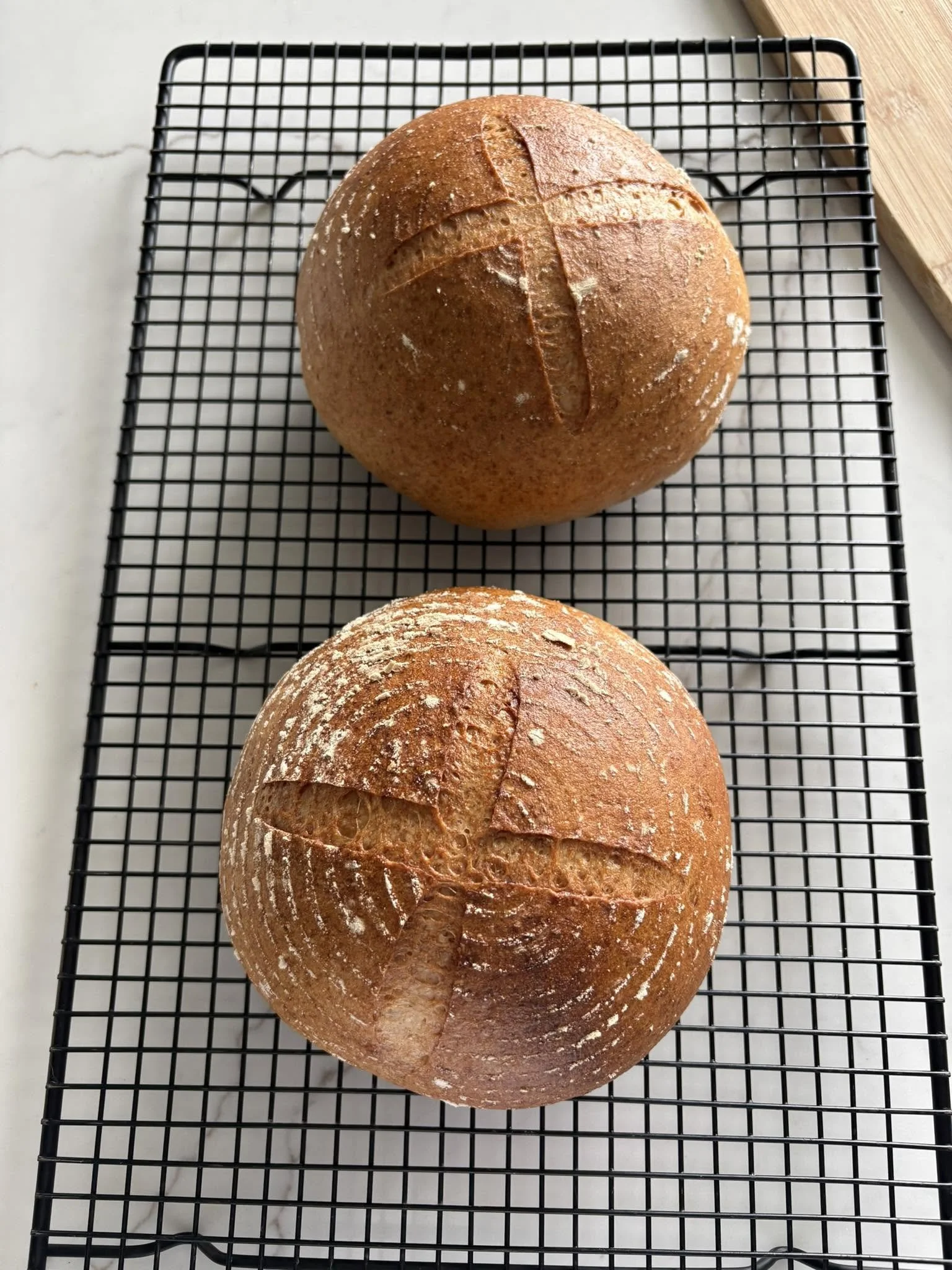 Whole Grain Artisan Boule