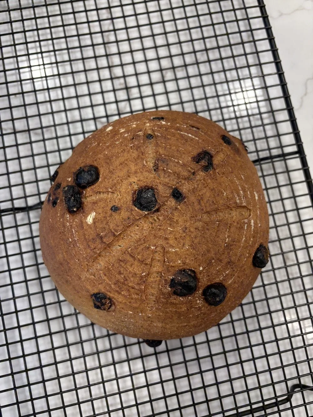 Cherry Pecan Boule