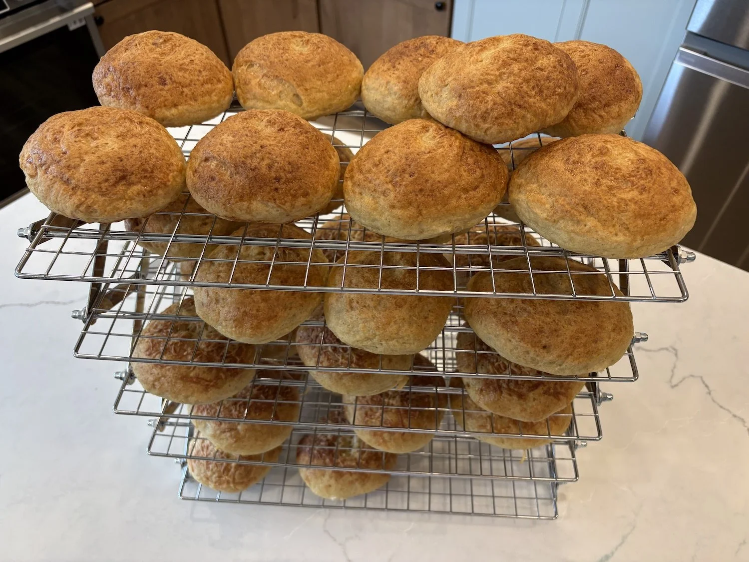 Plain Bagels