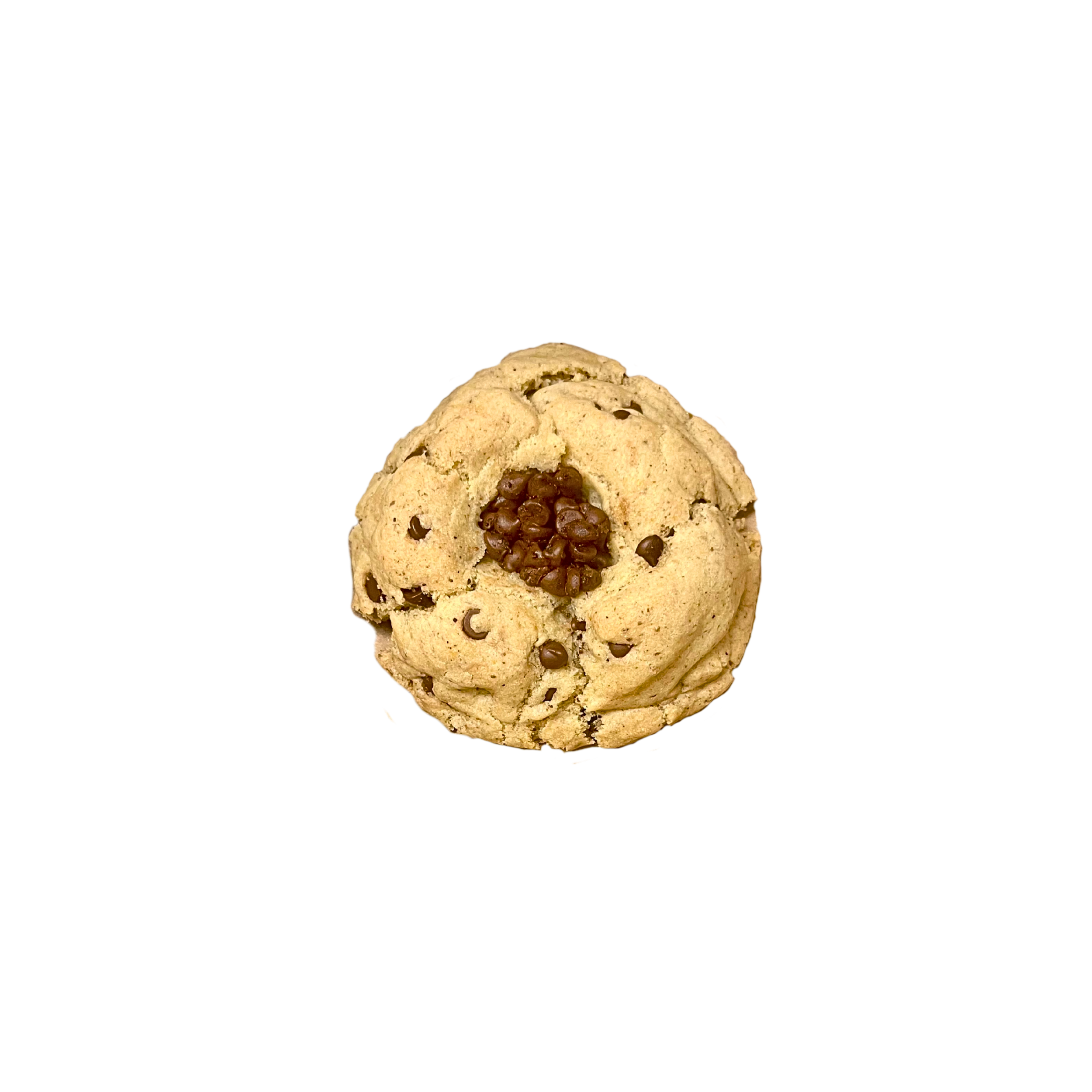 Chocolate Chip Cookie