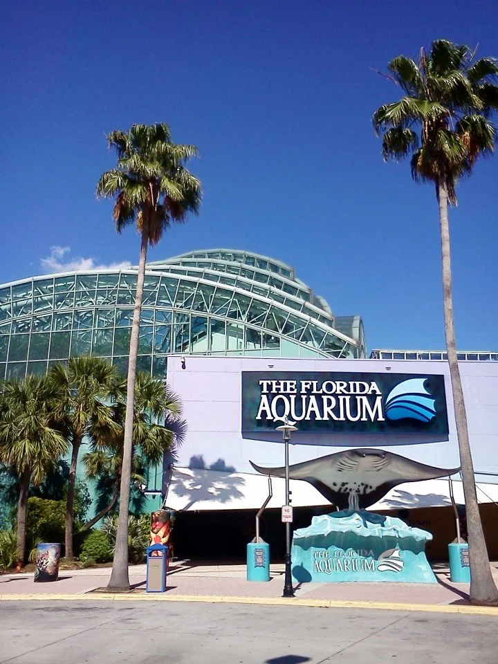 Front entrance of The Florida Aquarium with a large stingray sculpture, palm trees, and a modern glass building in the background under a clear blue sky.