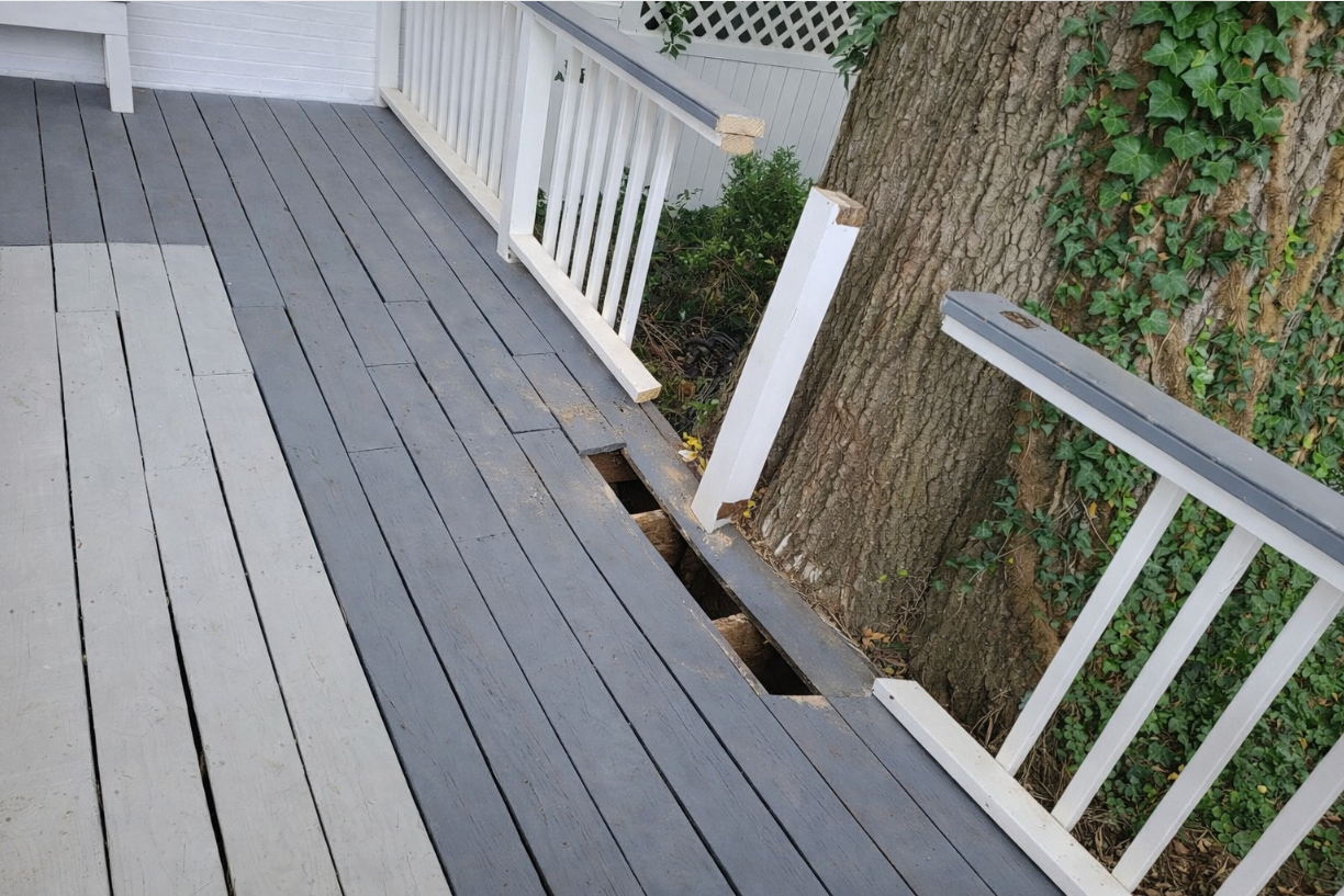 Part of a wooden deck with some boards missing, revealing the underlying structure, next to a tree with ivy growing on it, and a white railing.
