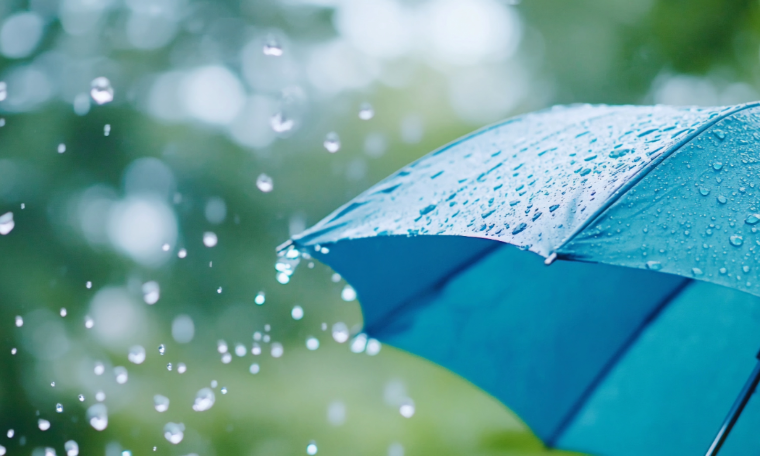 Umbrella Policies