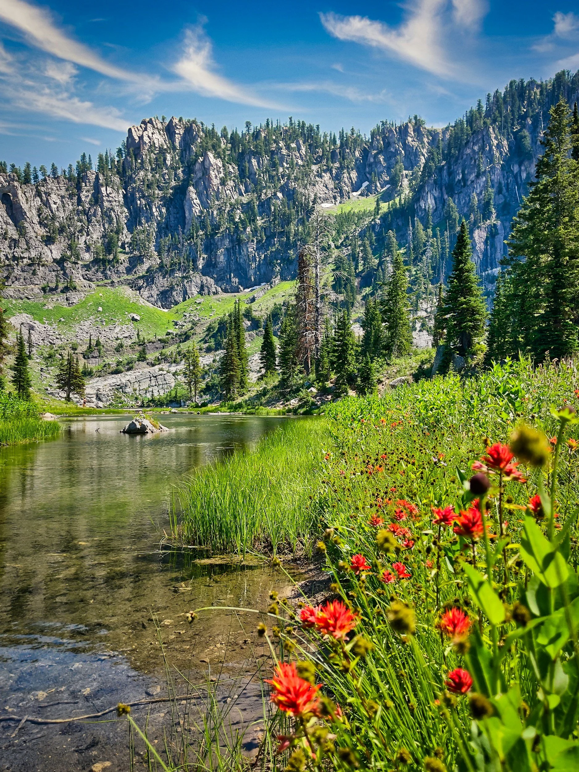 A mountain landscape with tall rocky peaks, green trees, a river in the foreground, and colorful wildflowers along the riverbank.