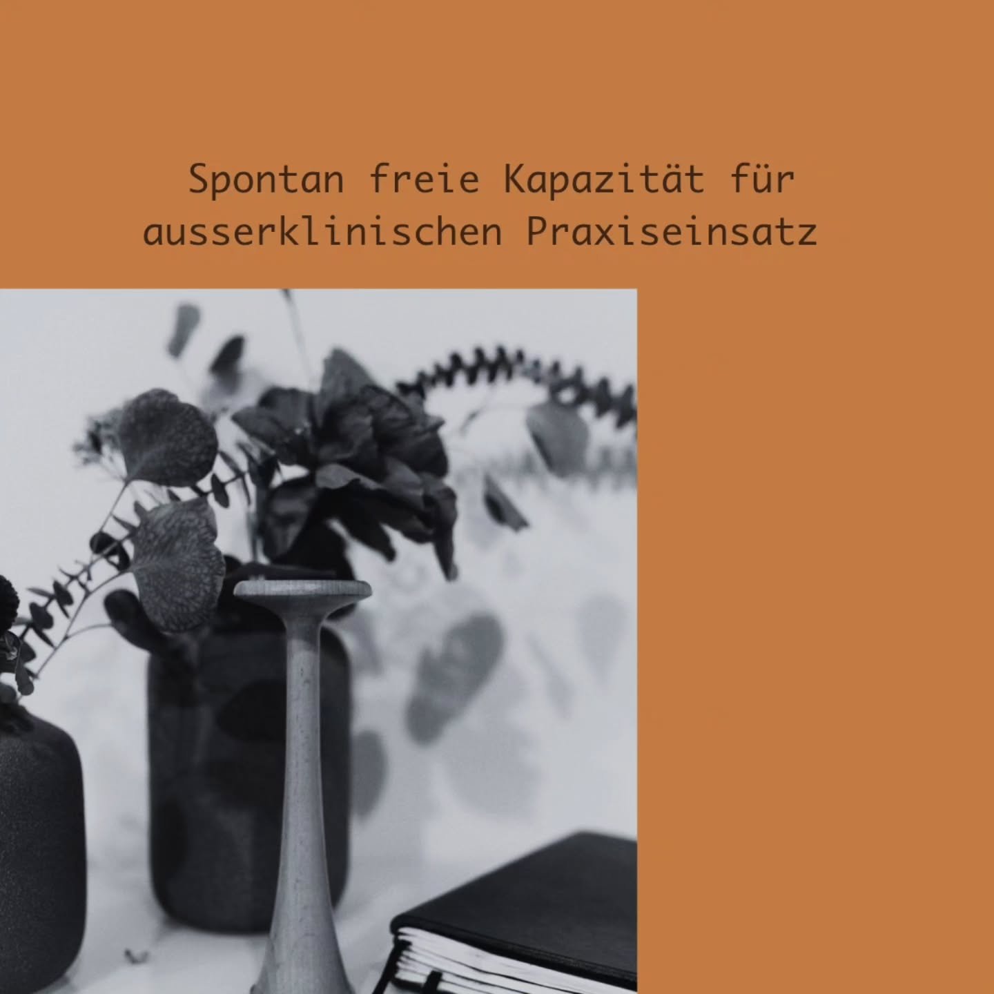 Suchst du noch nach einem geeigneten Setting f&uuml;r deinen ausserklinischen Praxiseinsatz oder kennst jemand, dem es so geht?
Wir haben spontan wieder freie Kapazit&auml;ten f&uuml;r einen 3-8 w&ouml;chigen Einsatz in folgendem Zeitraum: 21.12.26-1