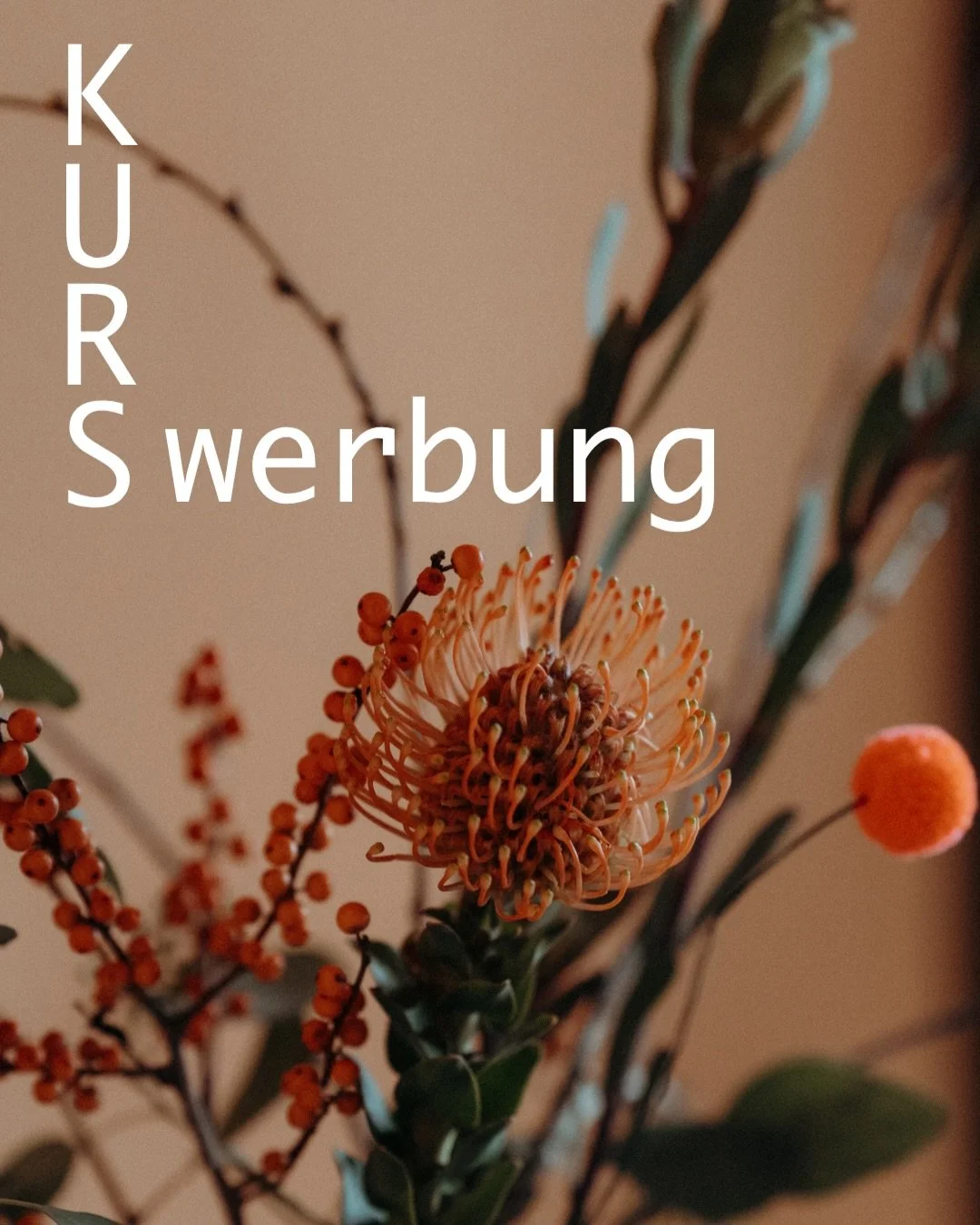 Kurse mit freien Kapazit&auml;ten im September und Oktober 🍂 

https://www.maingeburtshaus.de/kursevortraege