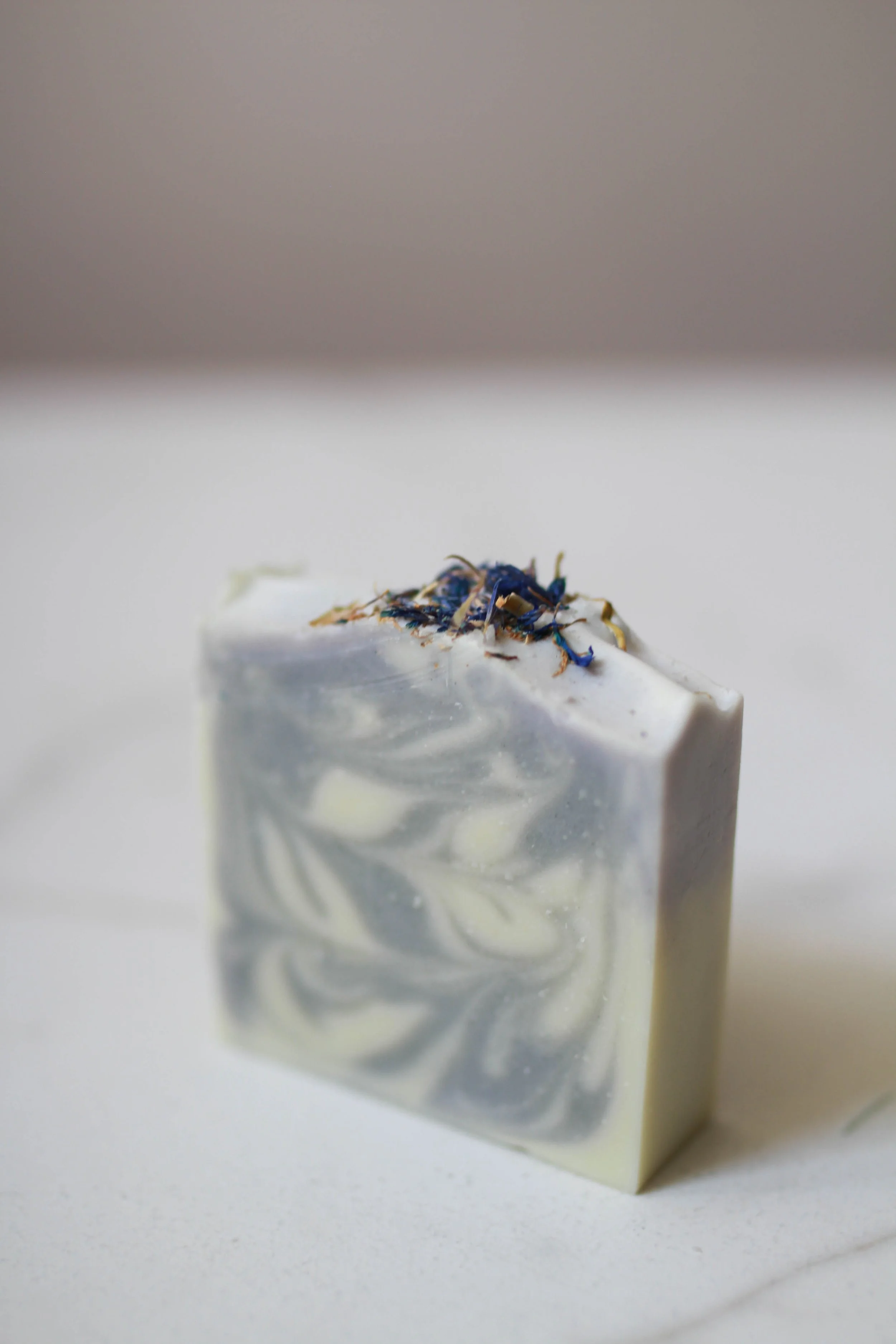 IMG_0479.jpg
