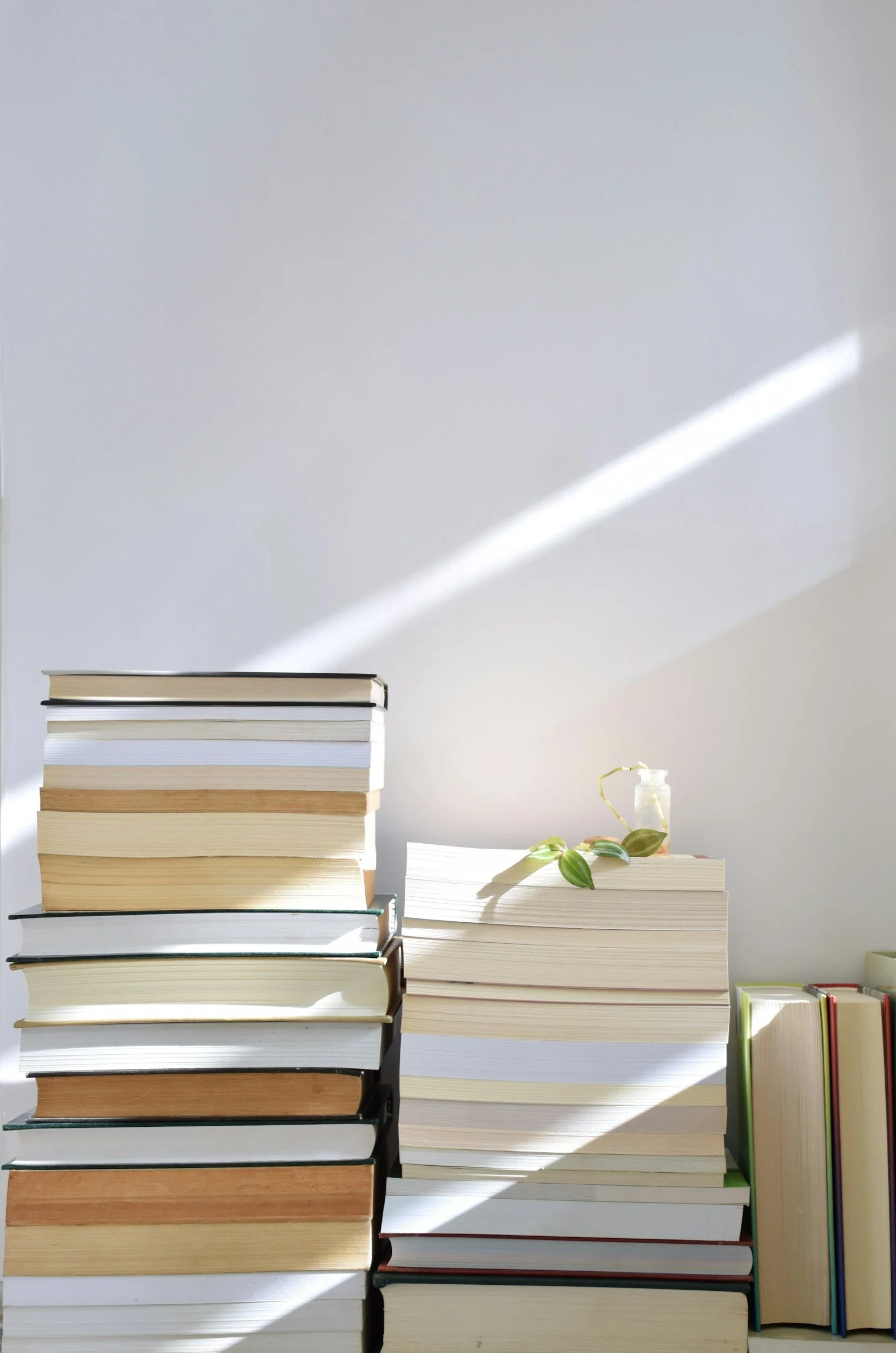 Stacked books on a white surface with a small potted plant in a glass bottle and sunlight shining on them.