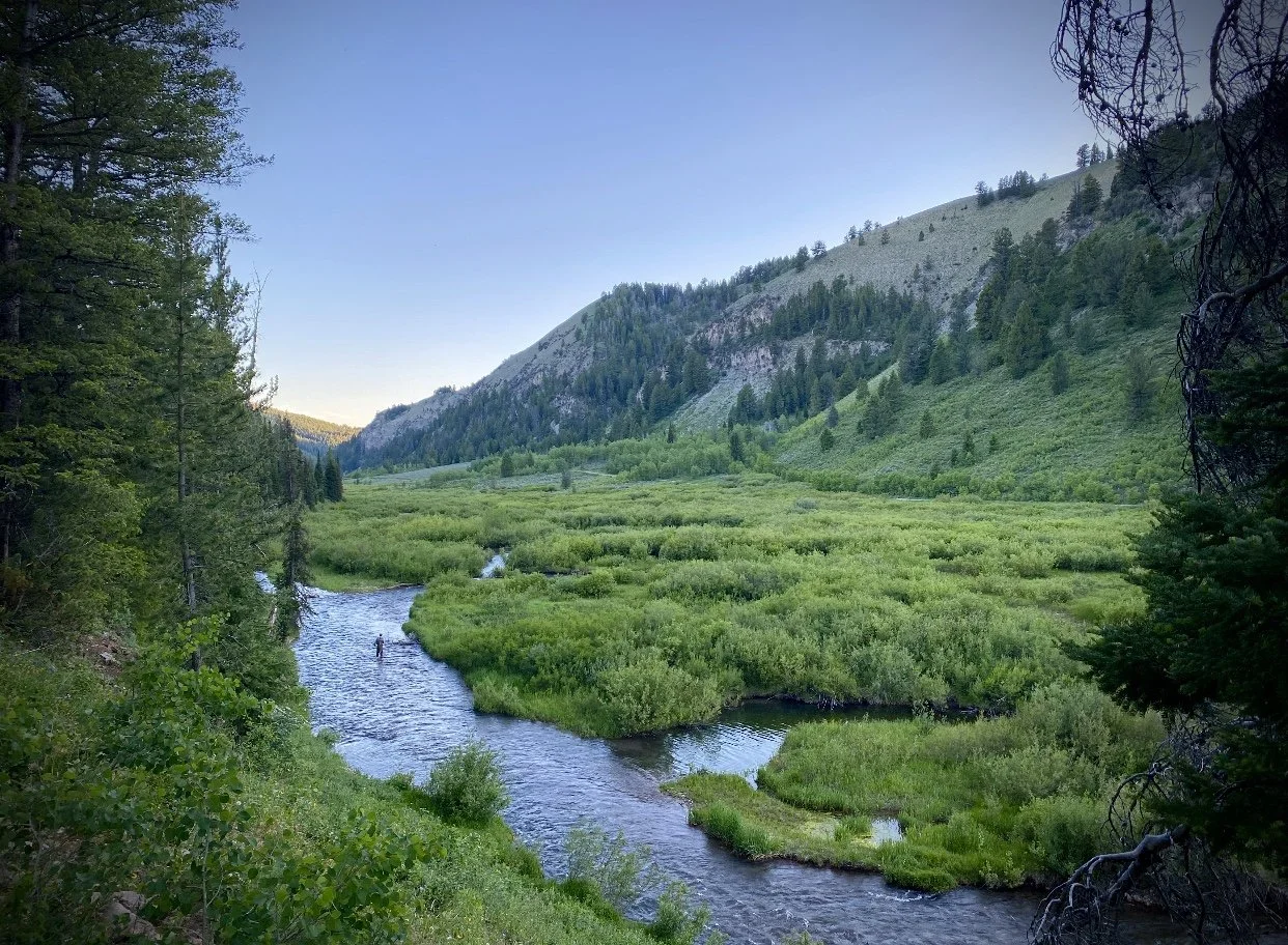 Twenty Years In The Bear River