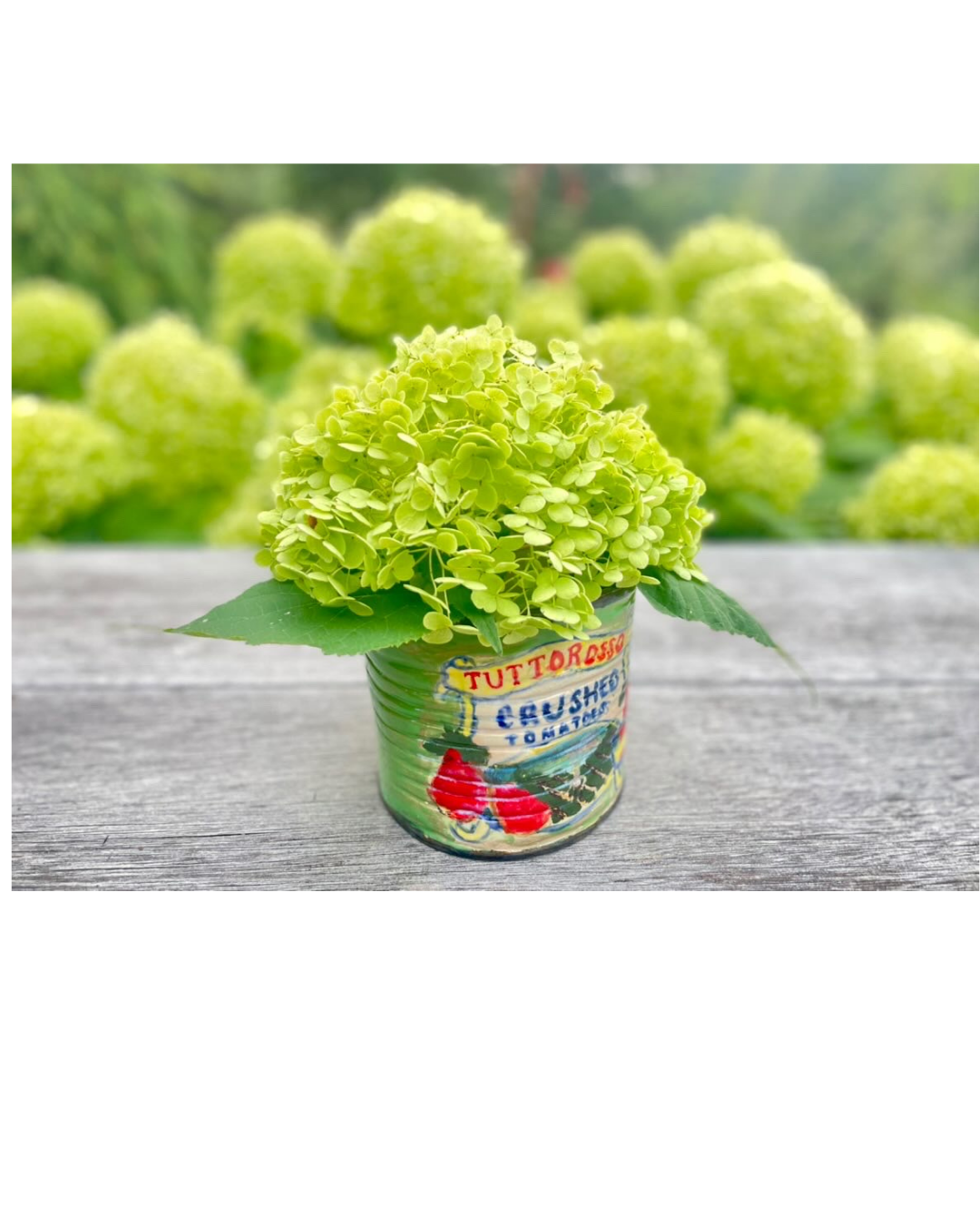 Green hydrangea flowers in a hand-painted ceramic can on a wooden surface with more hydrangea flowers blurred in the background.