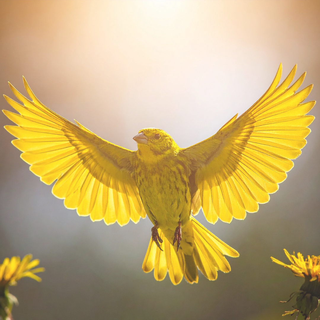 Threshold Quiz Personal Transformation Emergence