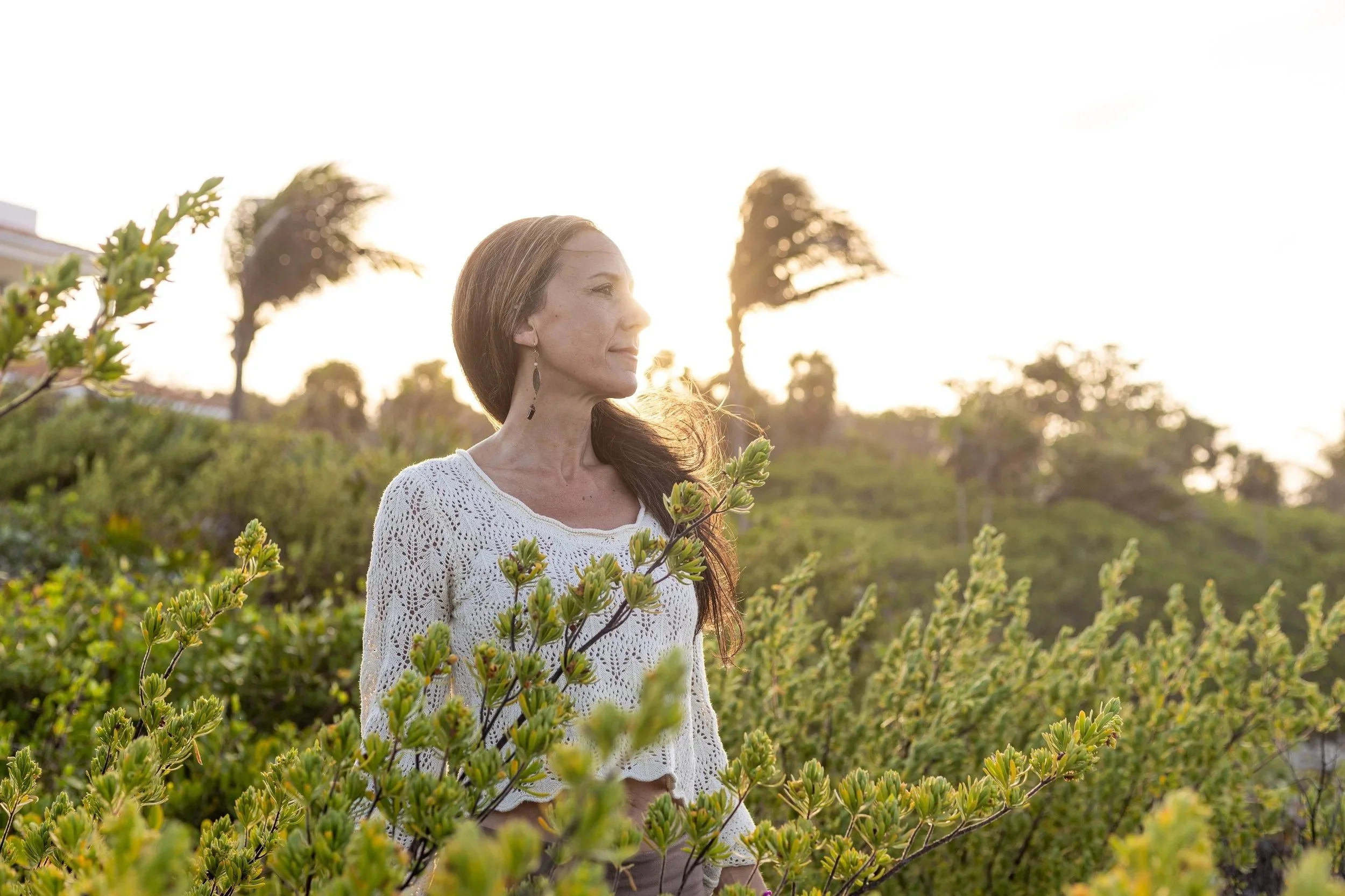 Shamanic energy medicine and Astrologer in Asheville NC