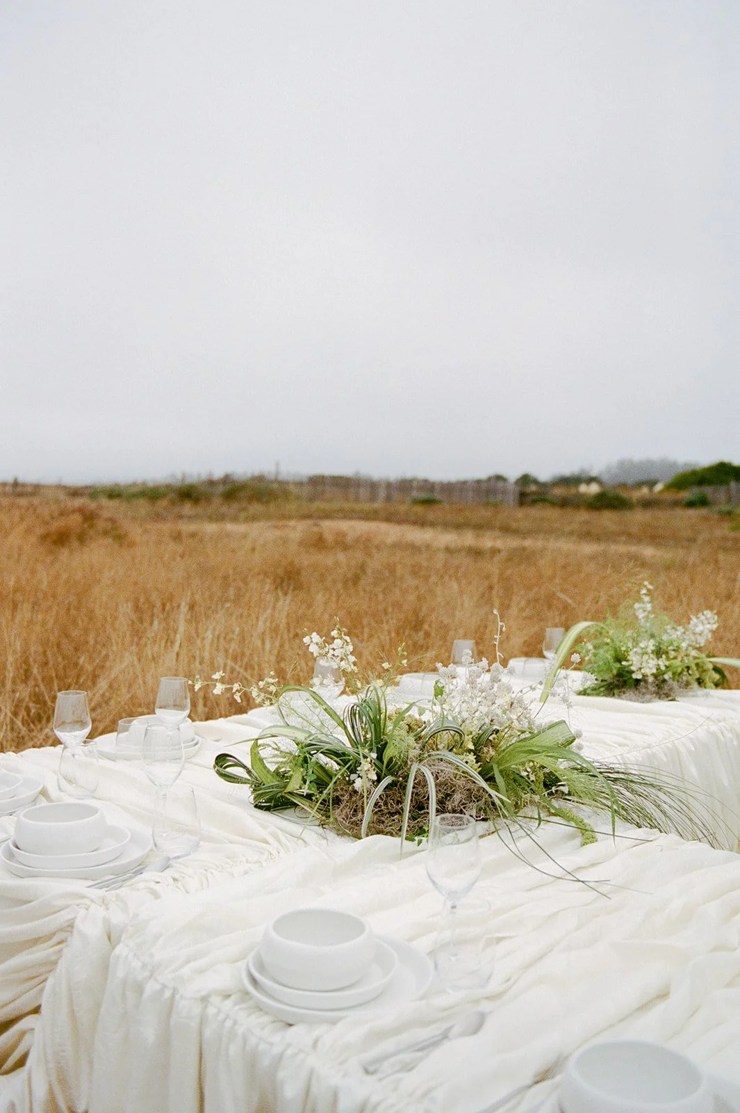 Sea Ranch Editorial Film-117.jpg