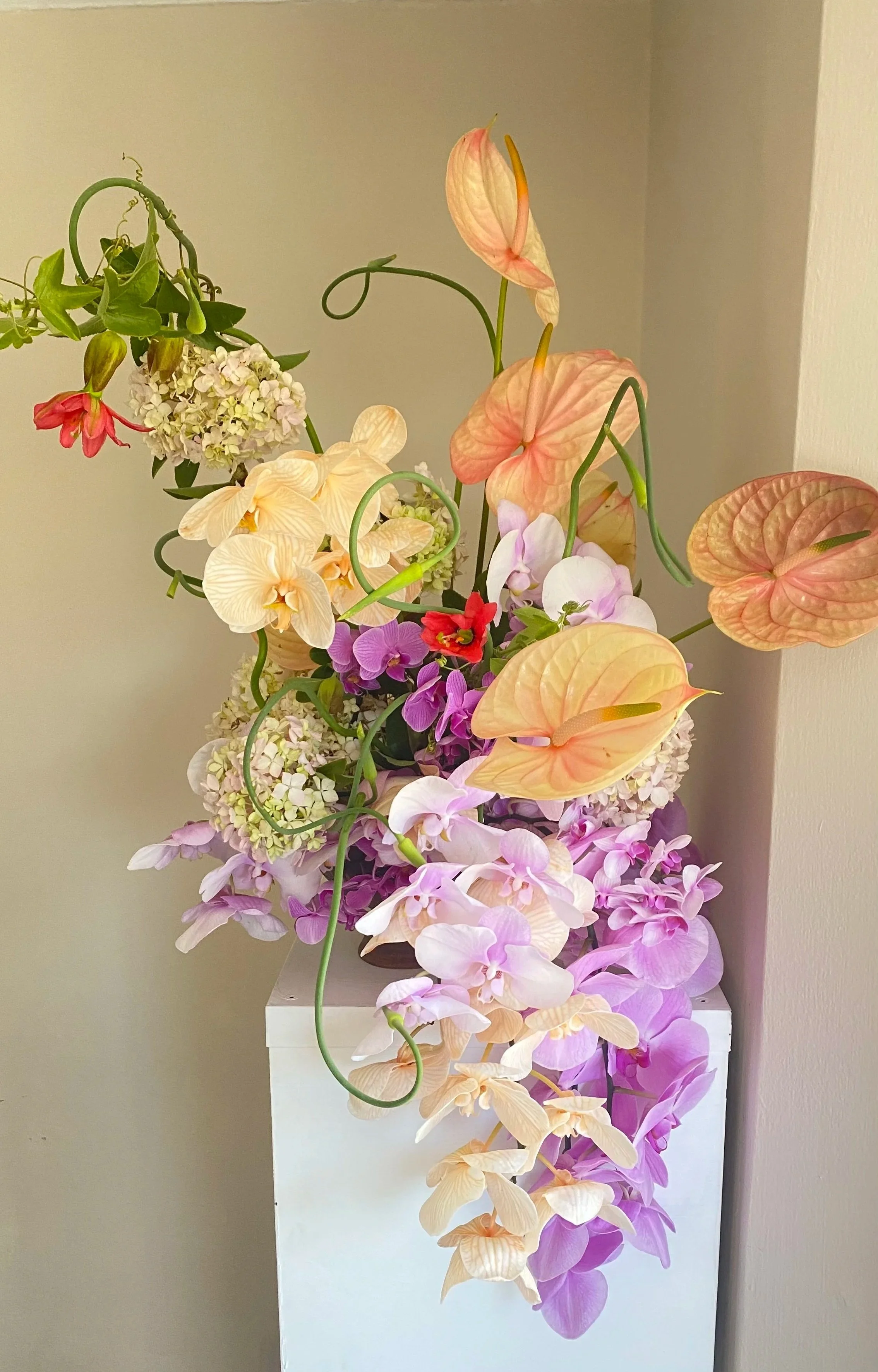Colorful arrangement of orchids, anthuriums, and other flowers in a vase on a white pedestal against a light-colored wall.