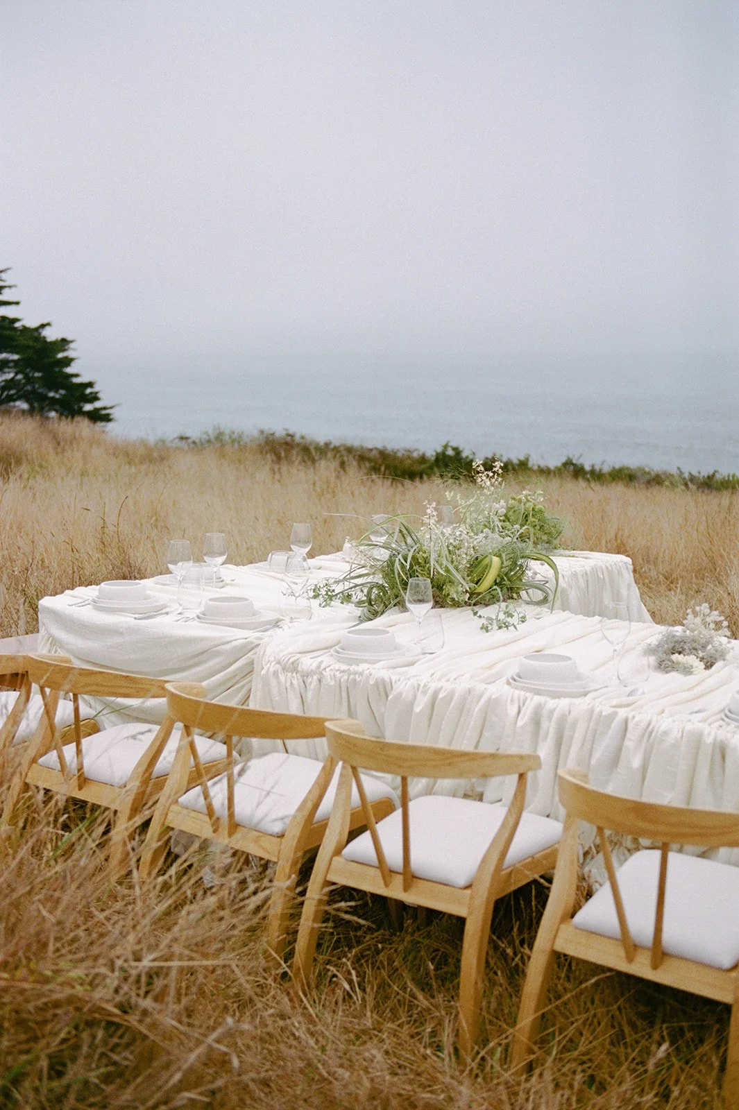 Sea Ranch Editorial Film New-6.jpg
