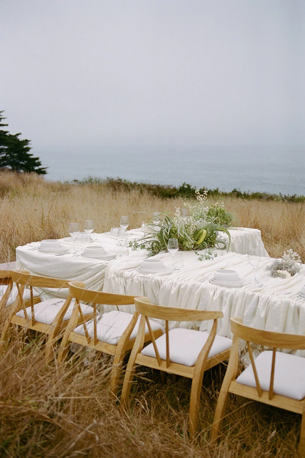 Sea Ranch Editorial Film-94.jpg