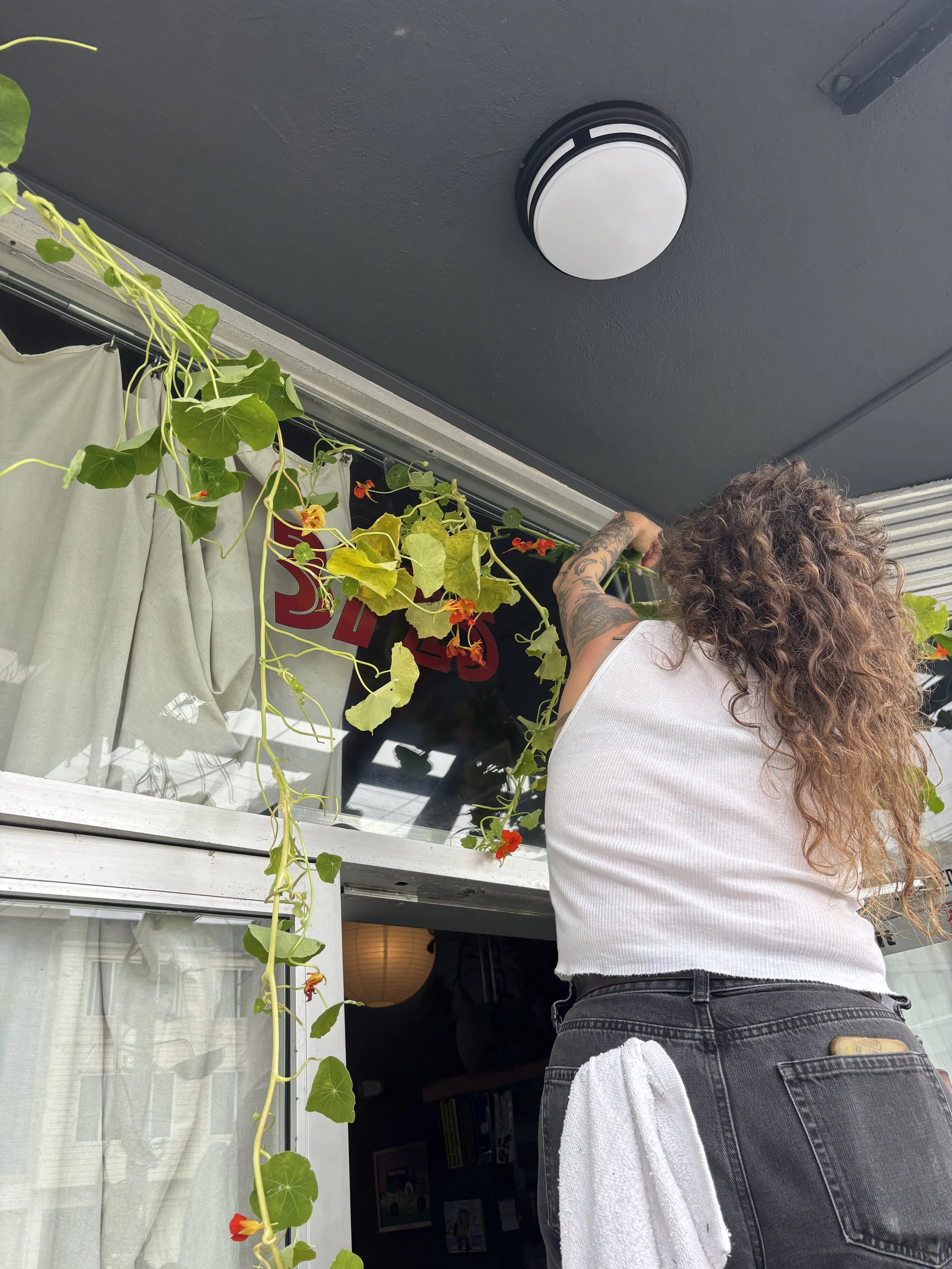 A woman with curly hair, wearing a white sleeveless top and dark jeans with a white towel hanging from the back pocket, is hanging a string of green leafy plants with red flowers outside a window.