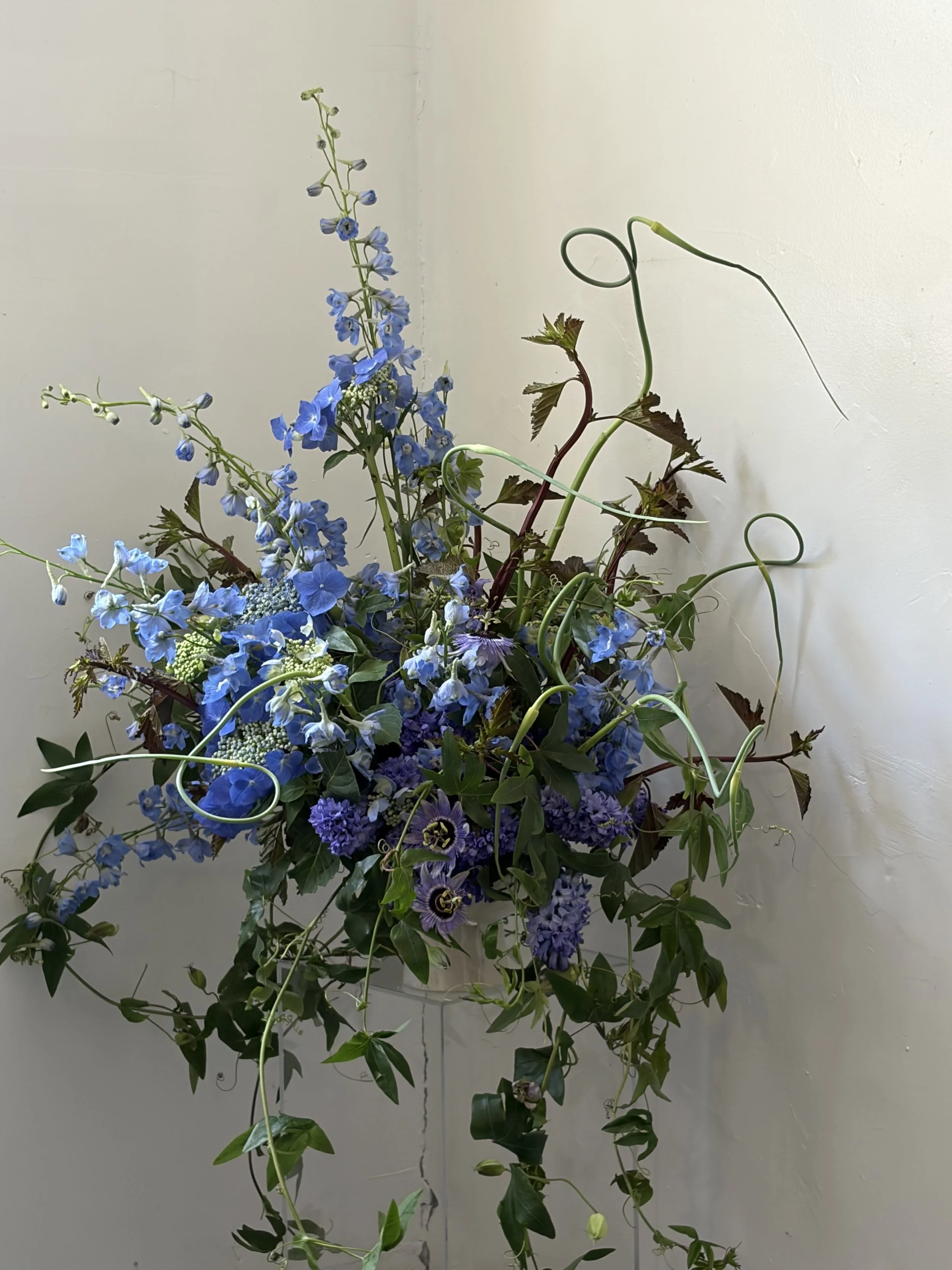 A floral arrangement of blue delphiniums, purple lisianthus, and greenery with tendrils, set against a plain white wall.
