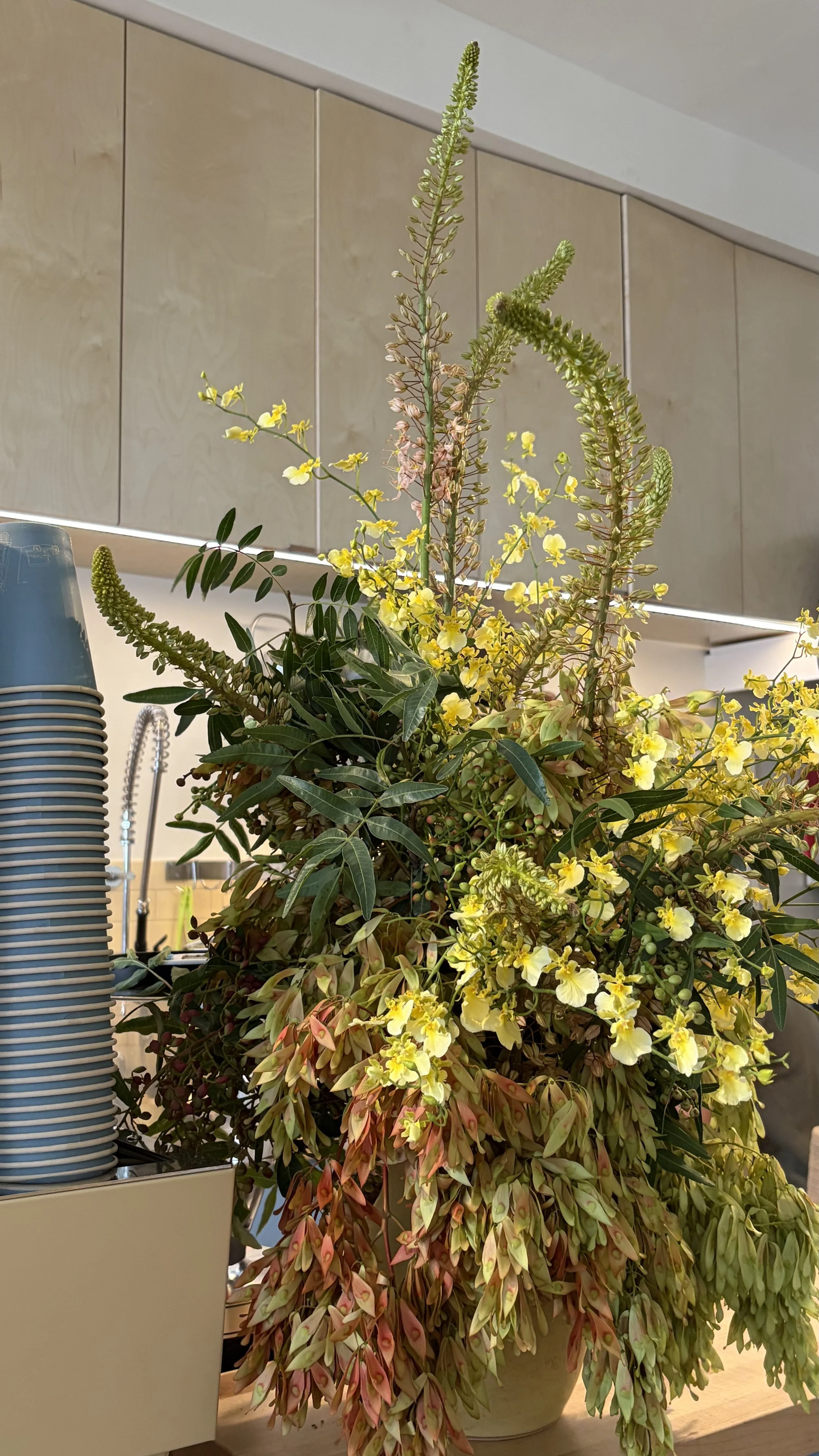 A luxe floral arrangement highlighting oncidium orchids for Third Wheel Coffee in San Francisco.