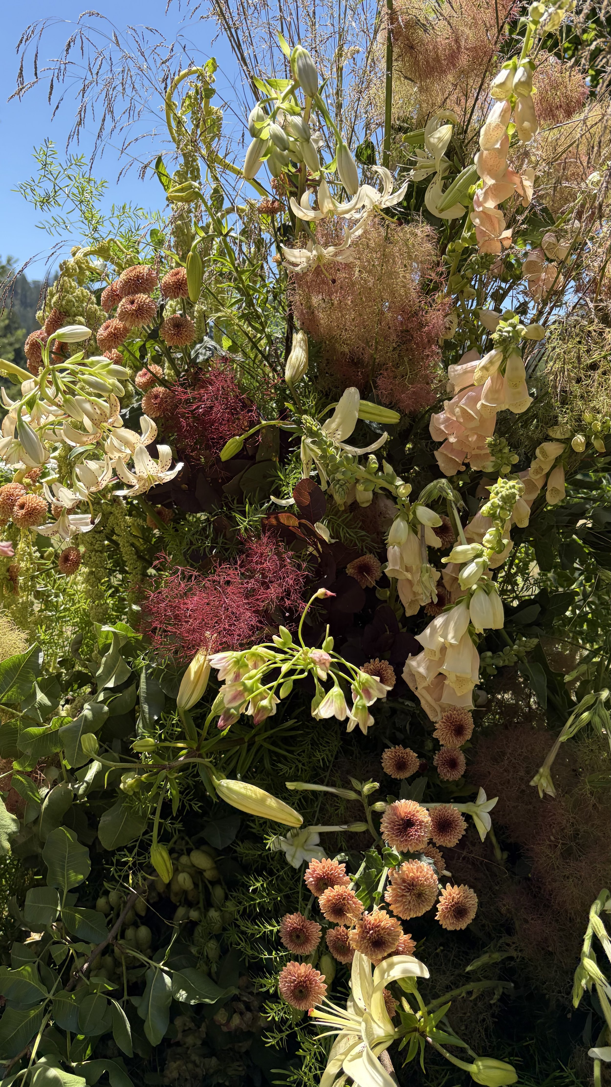 IMG_7703.jpeg