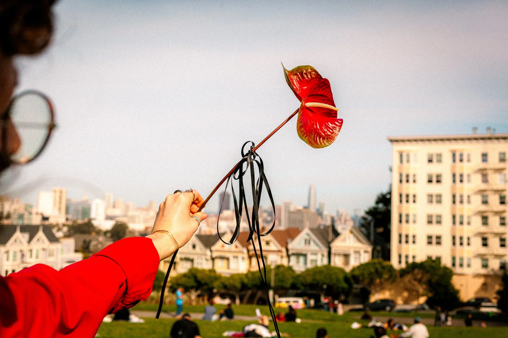 A person in a red jacket holding an anthurium flower with black ribbon decorations in Alamo Square Park with people, grass, trees, and buildings in the background.