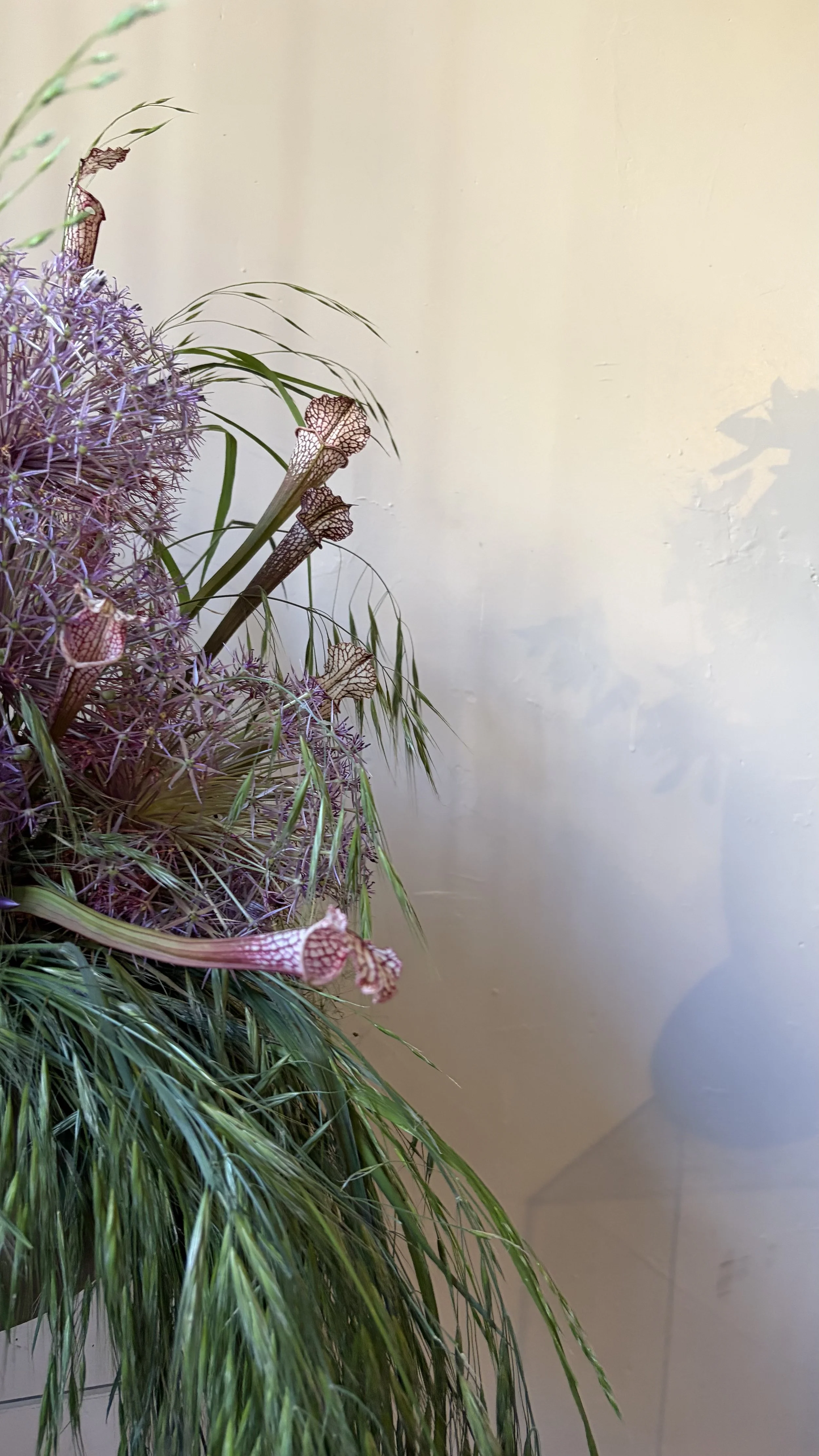 Arrangement of various plants and flowers with long green grass-like leaves, purple spherical flowers, and tall, brown, and patterned flowers with thin stems, placed indoors against a beige wall.