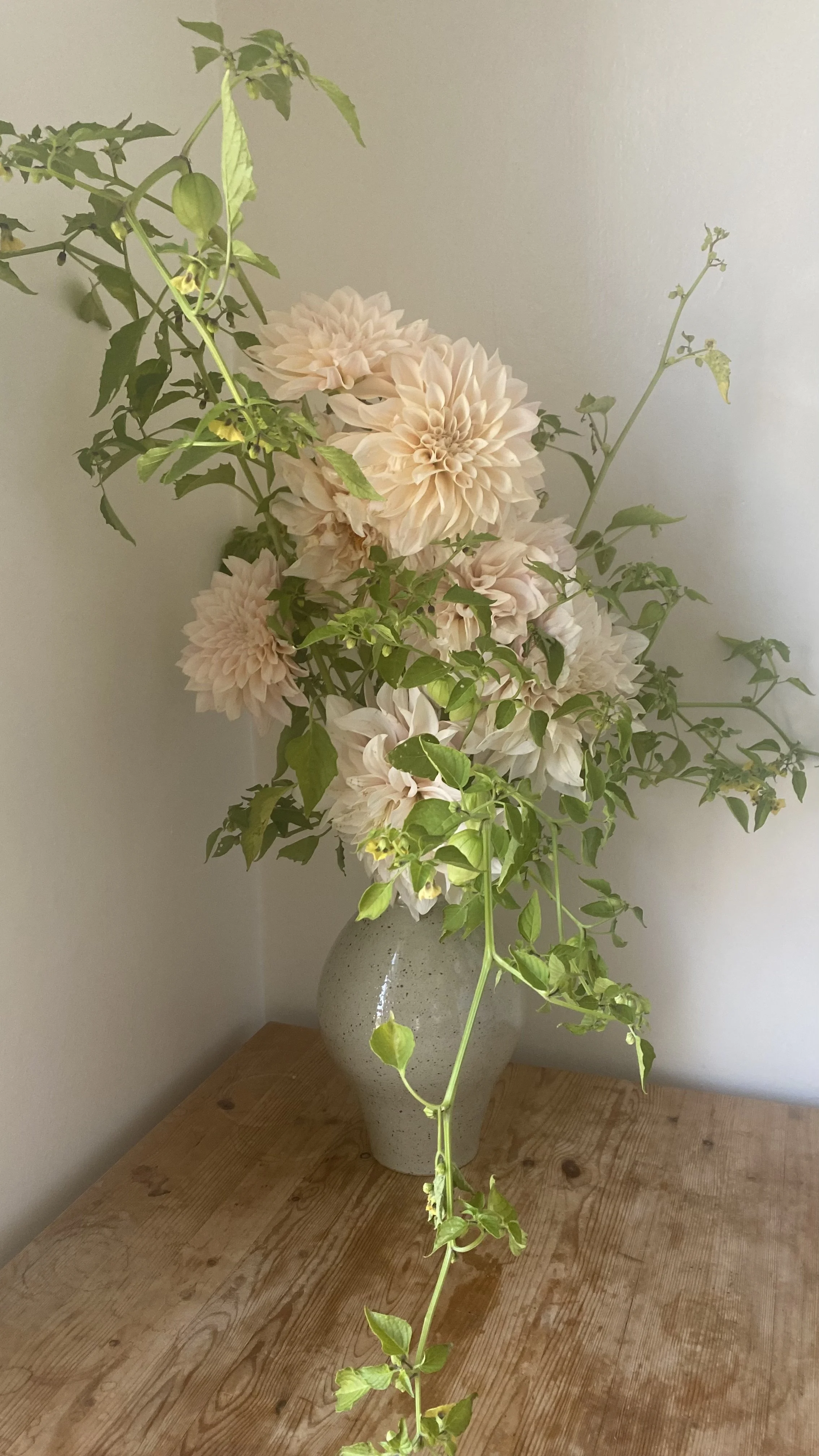 A vase with pinkish-white dahlias and green ivy leaves on a wooden table in front of a plain wall.