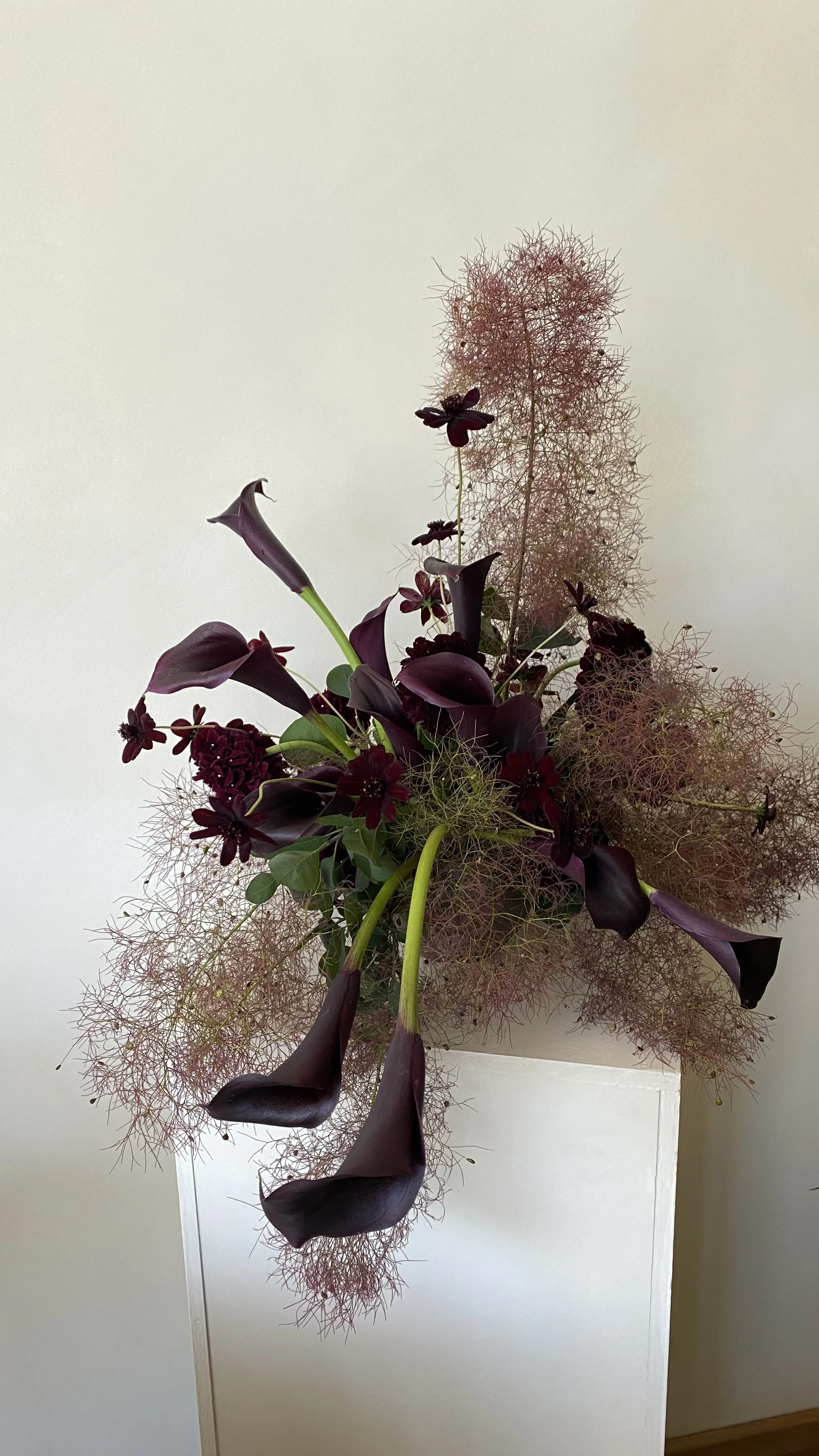 A floral arrangement with dark purple calla lilies, burgundy flowers, green leaves, and wispy smokebush foliage in a white vase against a plain wall.