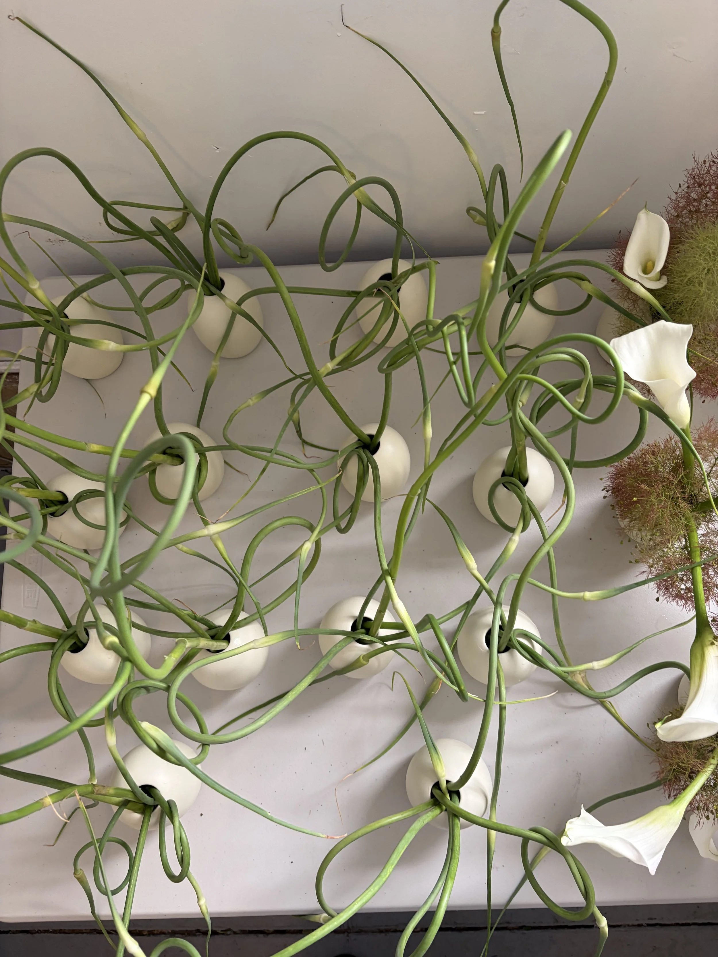 Garlic scape bud vases