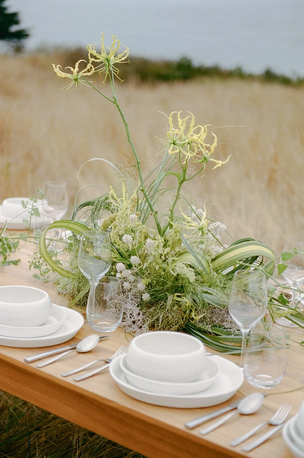 Sea Ranch Editorial Film-119.jpg