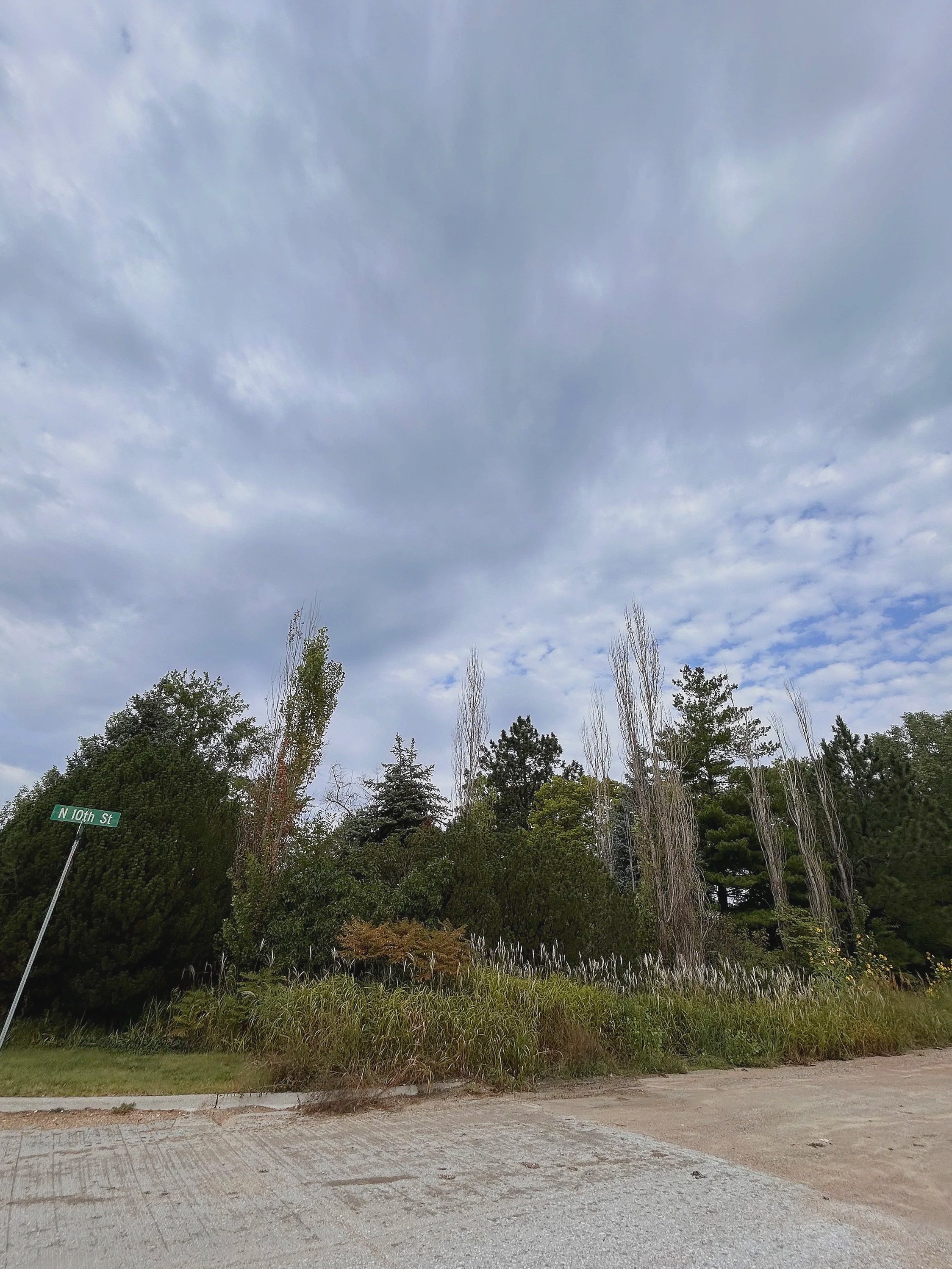 A cloudy sky over a wooded area with a street sign that reads N 10th St.
