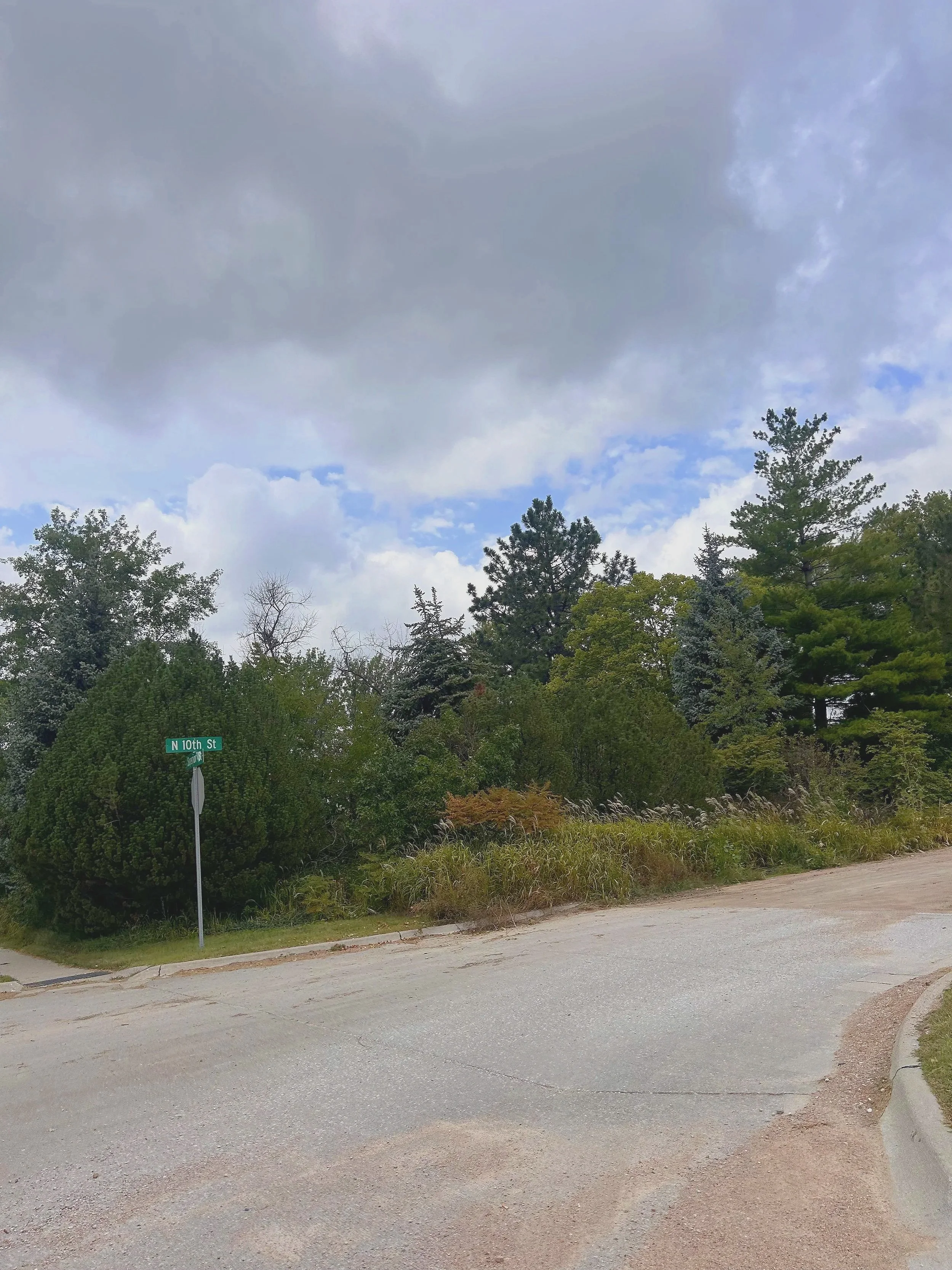 Street sign indicating North 10th Street at a street corner with trees and bushes along the road, cloudy sky overhead.