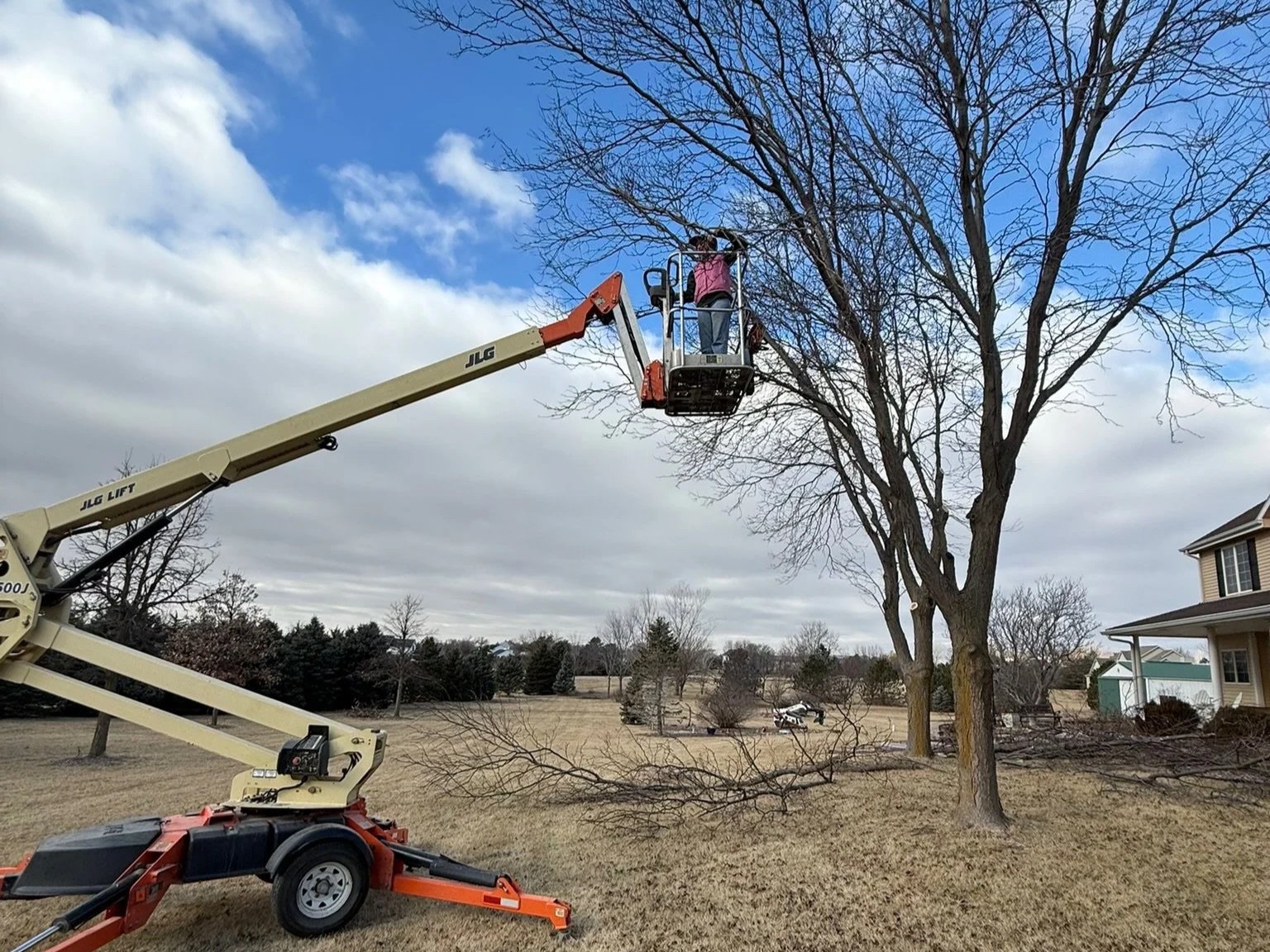 A person working on pruning a large tree while standing in a raised cherry picker lift in a backyard with houses and trees, under a partly cloudy sky.