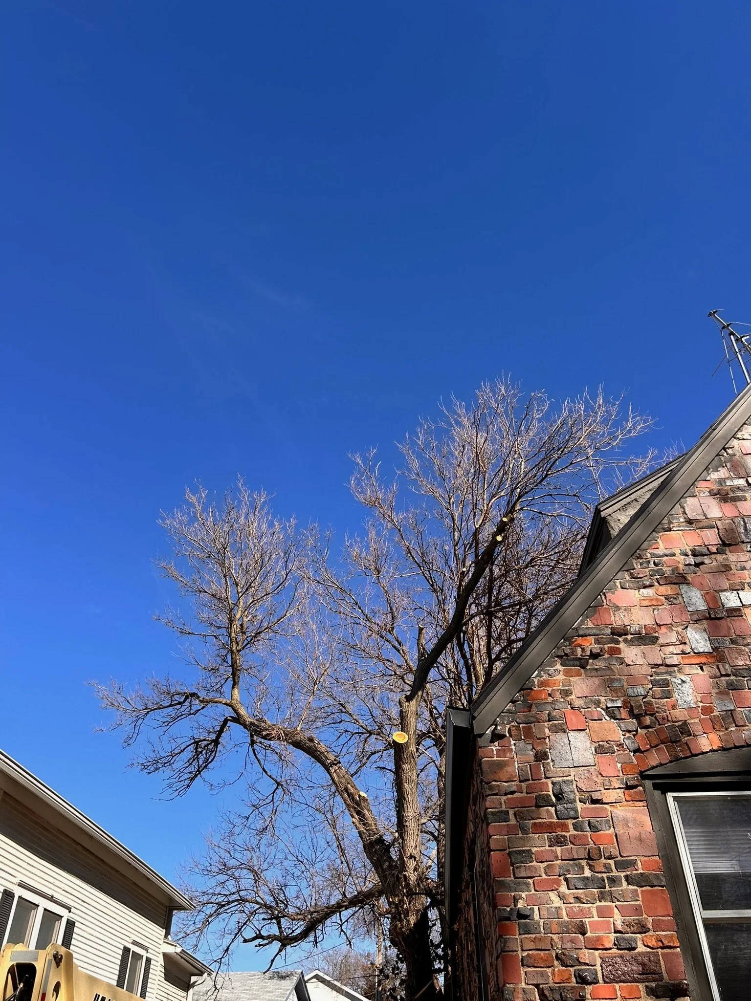 A leafless tree stands next to a brick house with a sloped roof against a clear blue sky.
