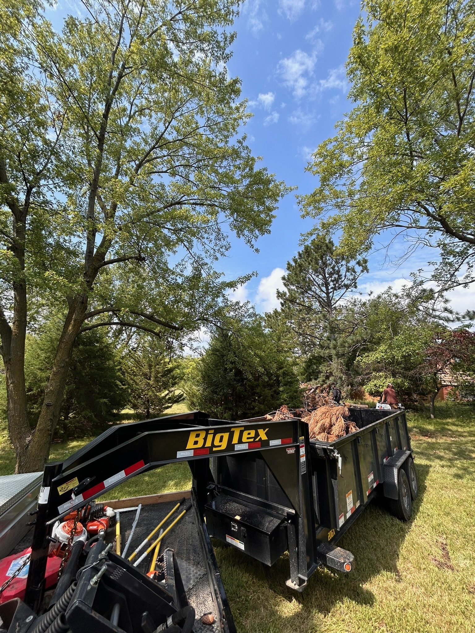 A black Big Tex trailer loaded with tree debris and gardening tools, parked on a grassy area under tall green trees, with a clear blue sky overhead.