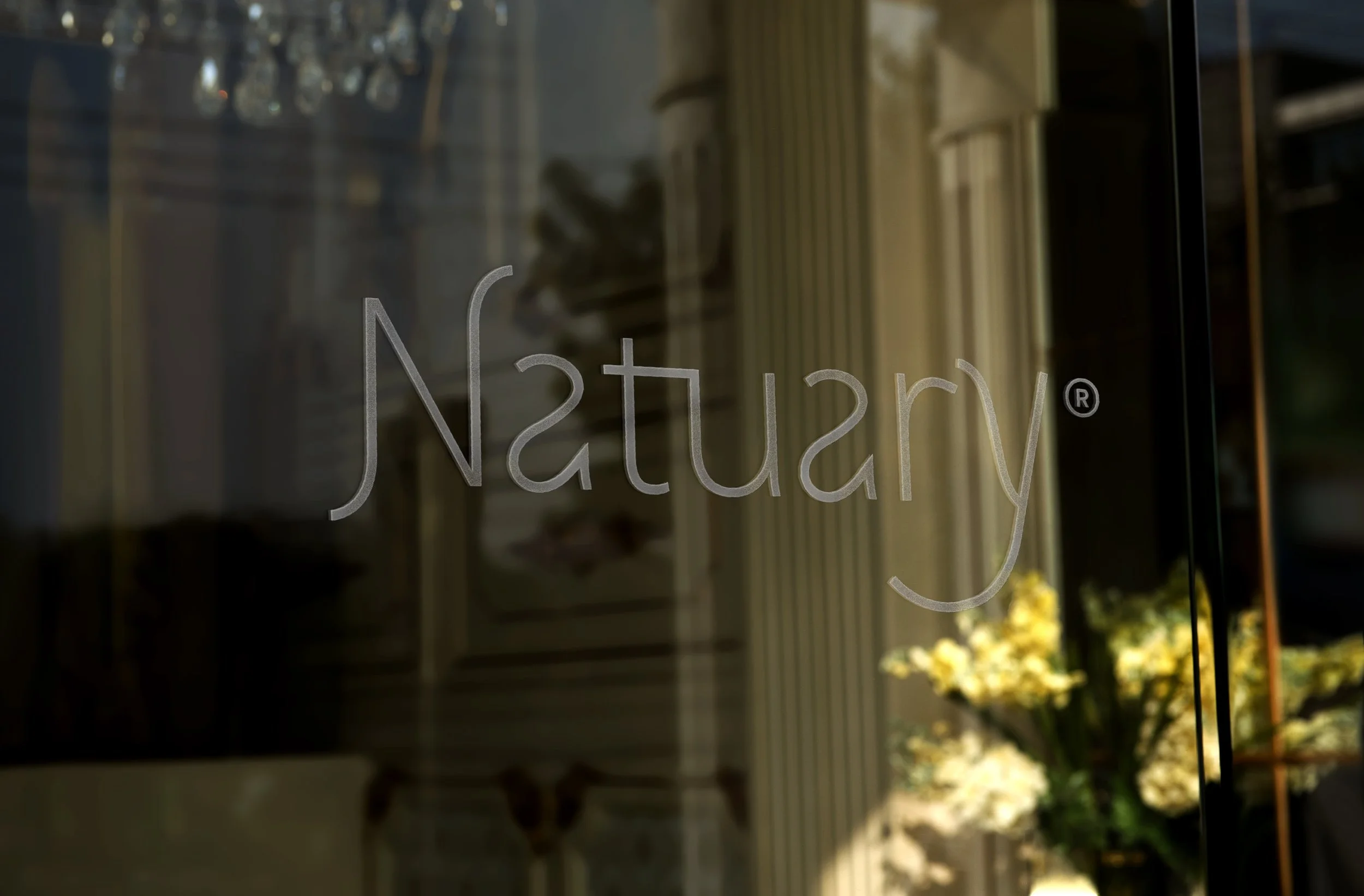 Natuary Visual Identity