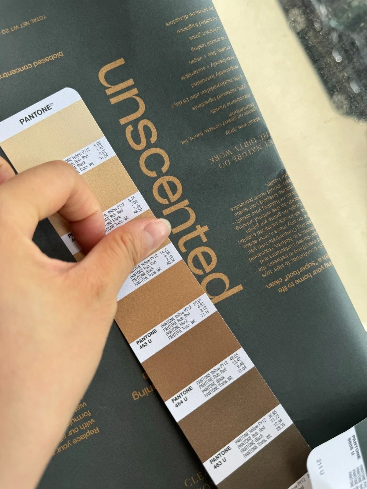 Biography Brand Identity