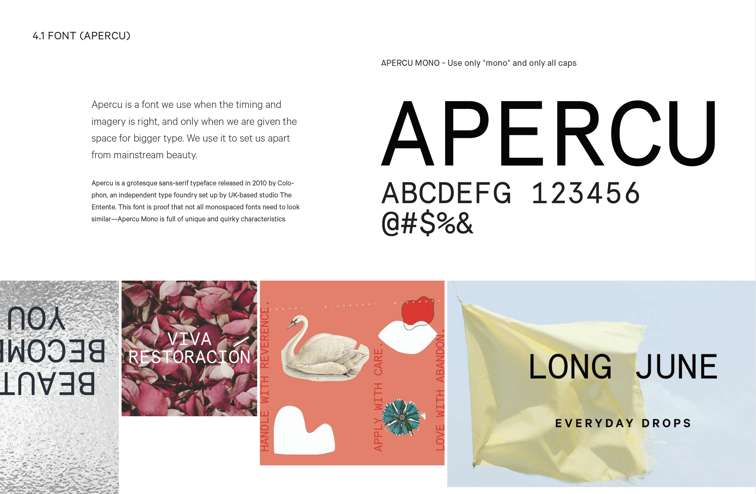 Brand Design Systems