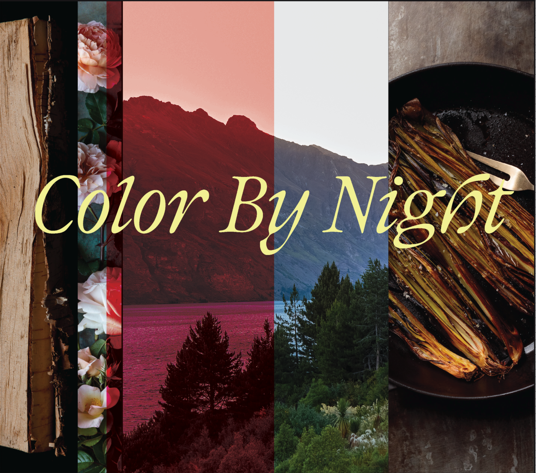 Color By Night Naming