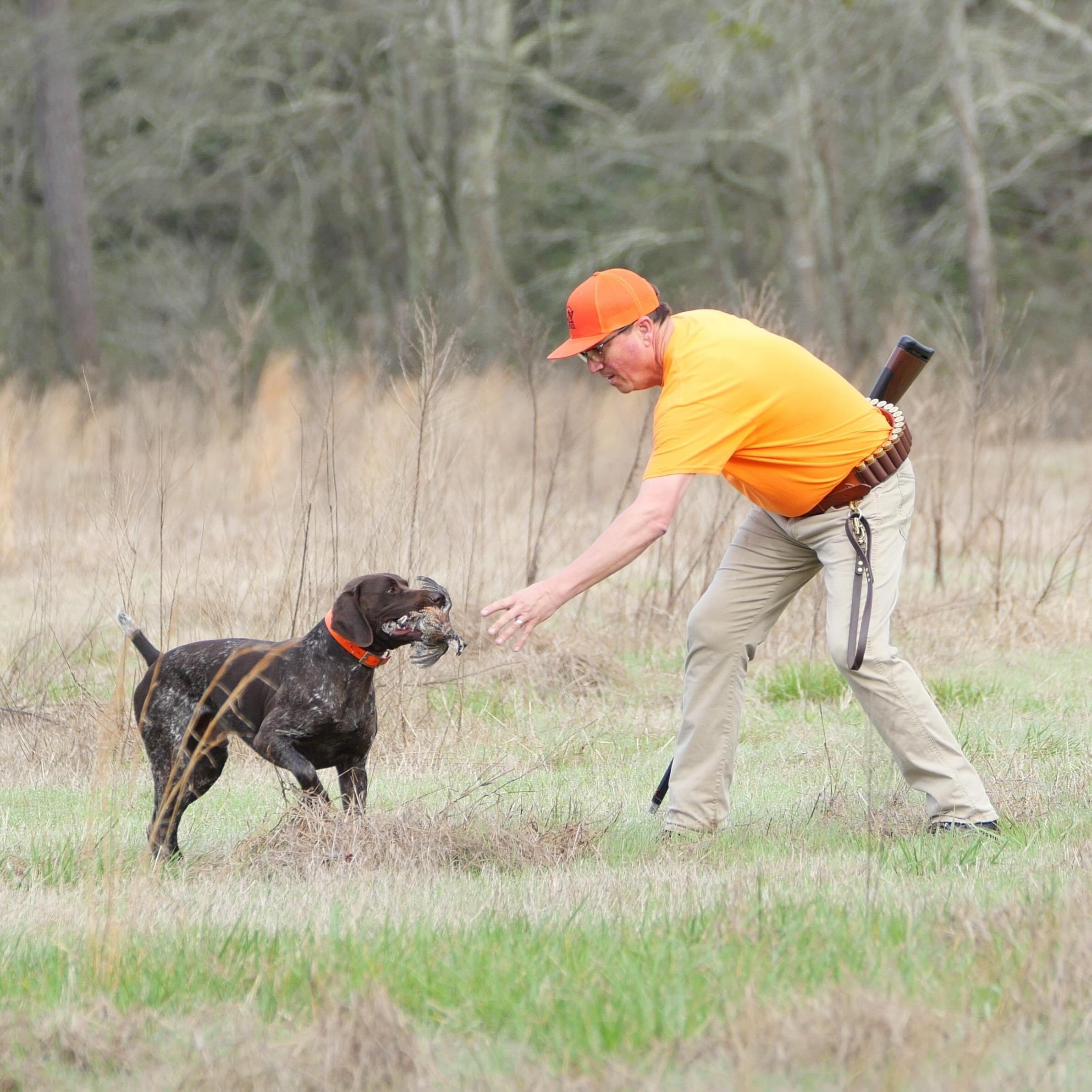 The all-important &ldquo;retrieve&rdquo; part of National Shoot to Retrieve!
#nstra #birddogs #retrievingdog #uplandhunting #germanshorthairpointer