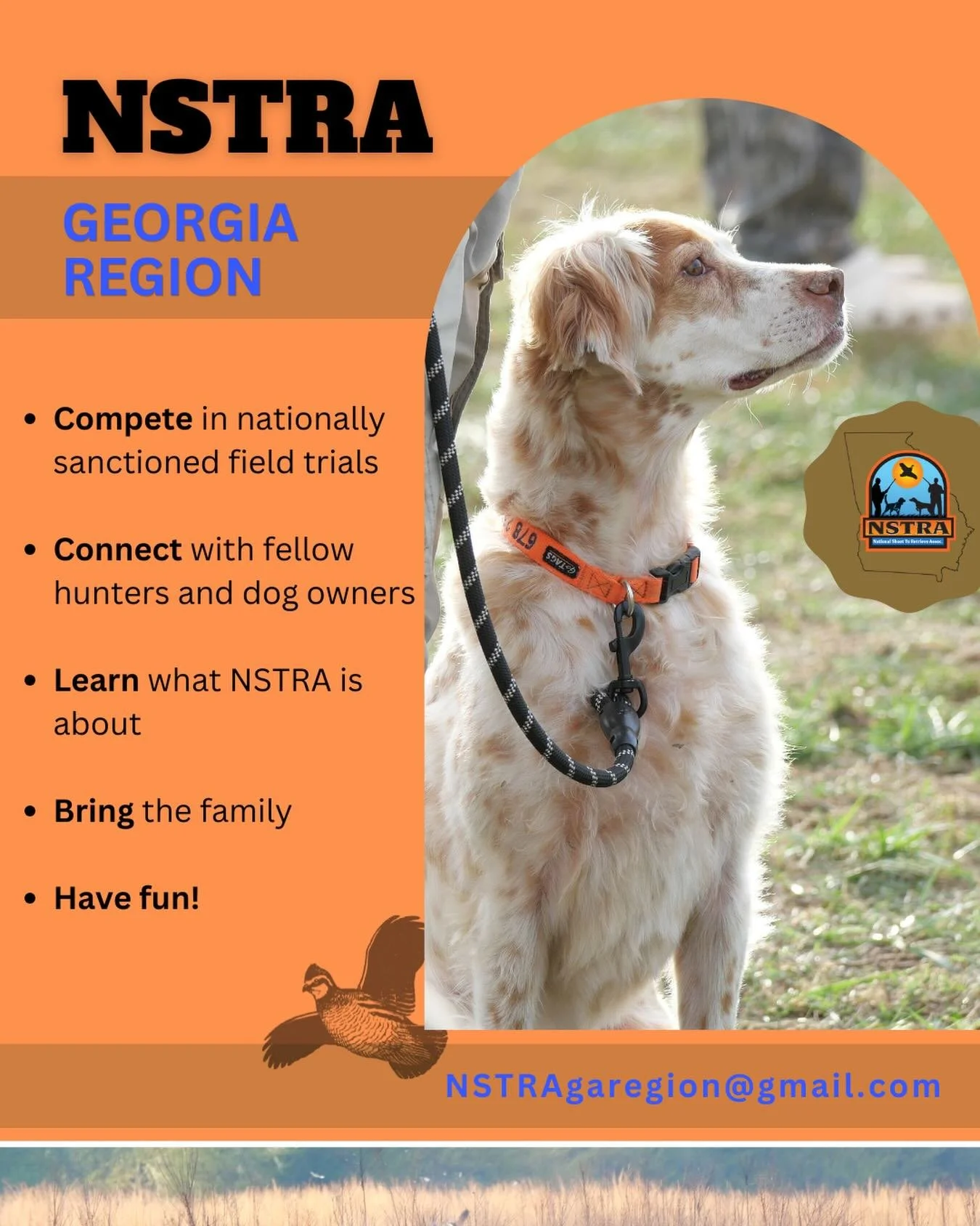 Check out the Georgia Region of NSTRA! We&rsquo;re about healthy competition, a friendly family environment, and creating better bird dogs. To learn more, email us at NSTRAgaregion@gmail.com

#nstra #birddogs #englishsetter #georgiaoutdoors #uplandhu