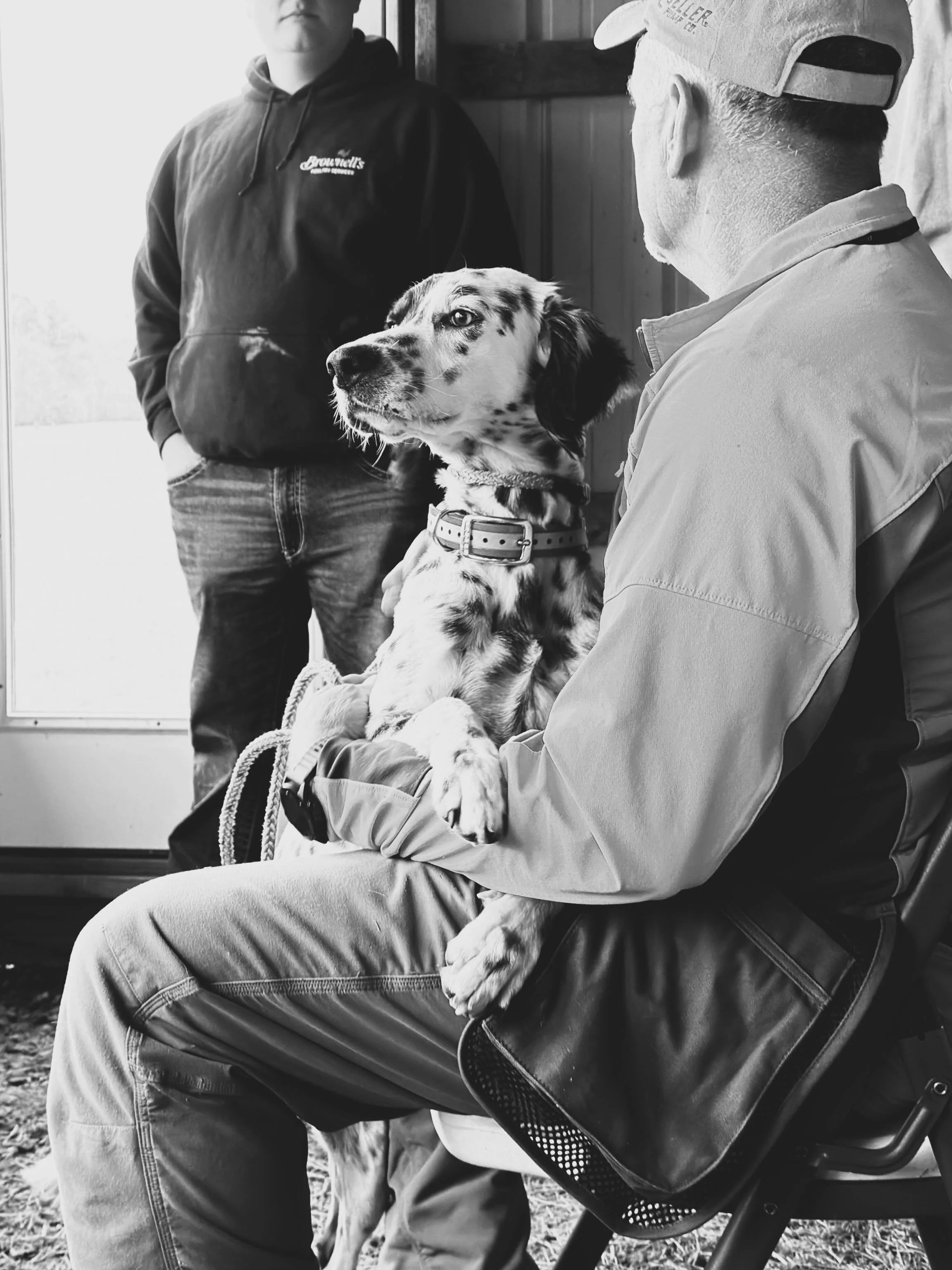 Building better bird dogs. #NSTRA

#birddogs #englishsetter #fieldtrialdogs #dogsofinstagram