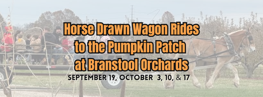 Horse Drawn Wagon Rides to the Pumpkin Patch